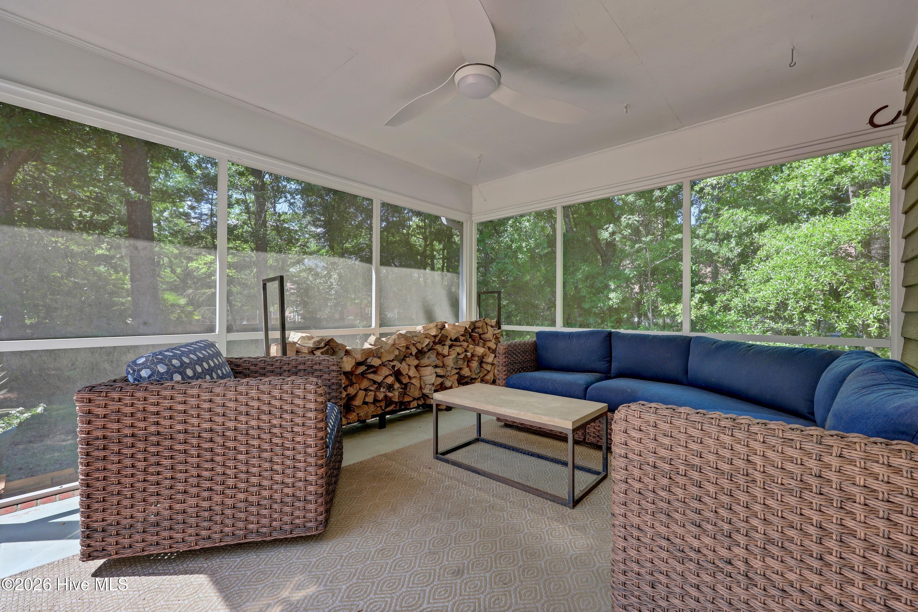 100569392 | Photo 37