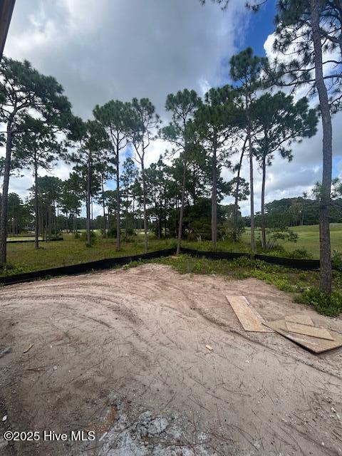 100495669 | Photo 17