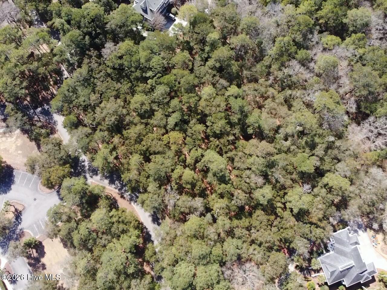 100559095 | Photo 12