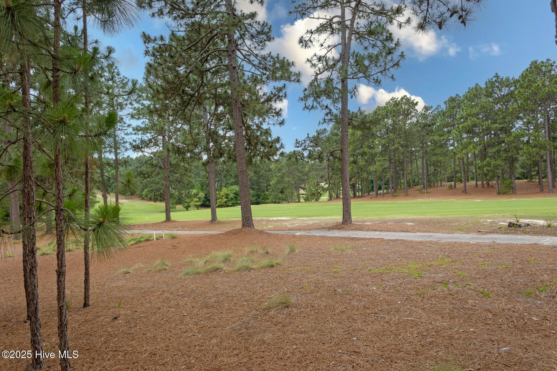 Homes for sale in West End, NC | 248 Longleaf Dr, West End, NC 27376 | MLS# 100515631