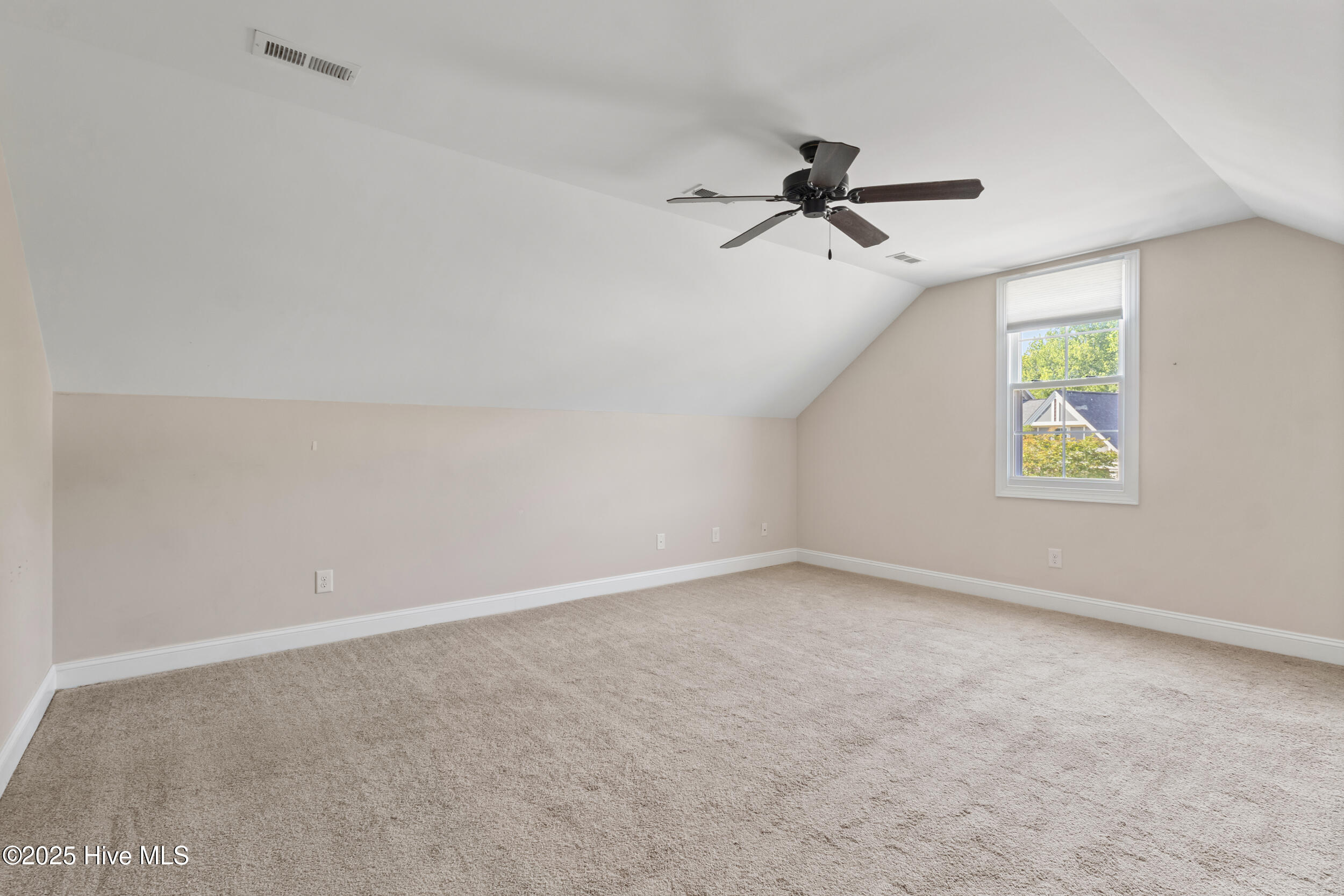 100506544 | Photo 35