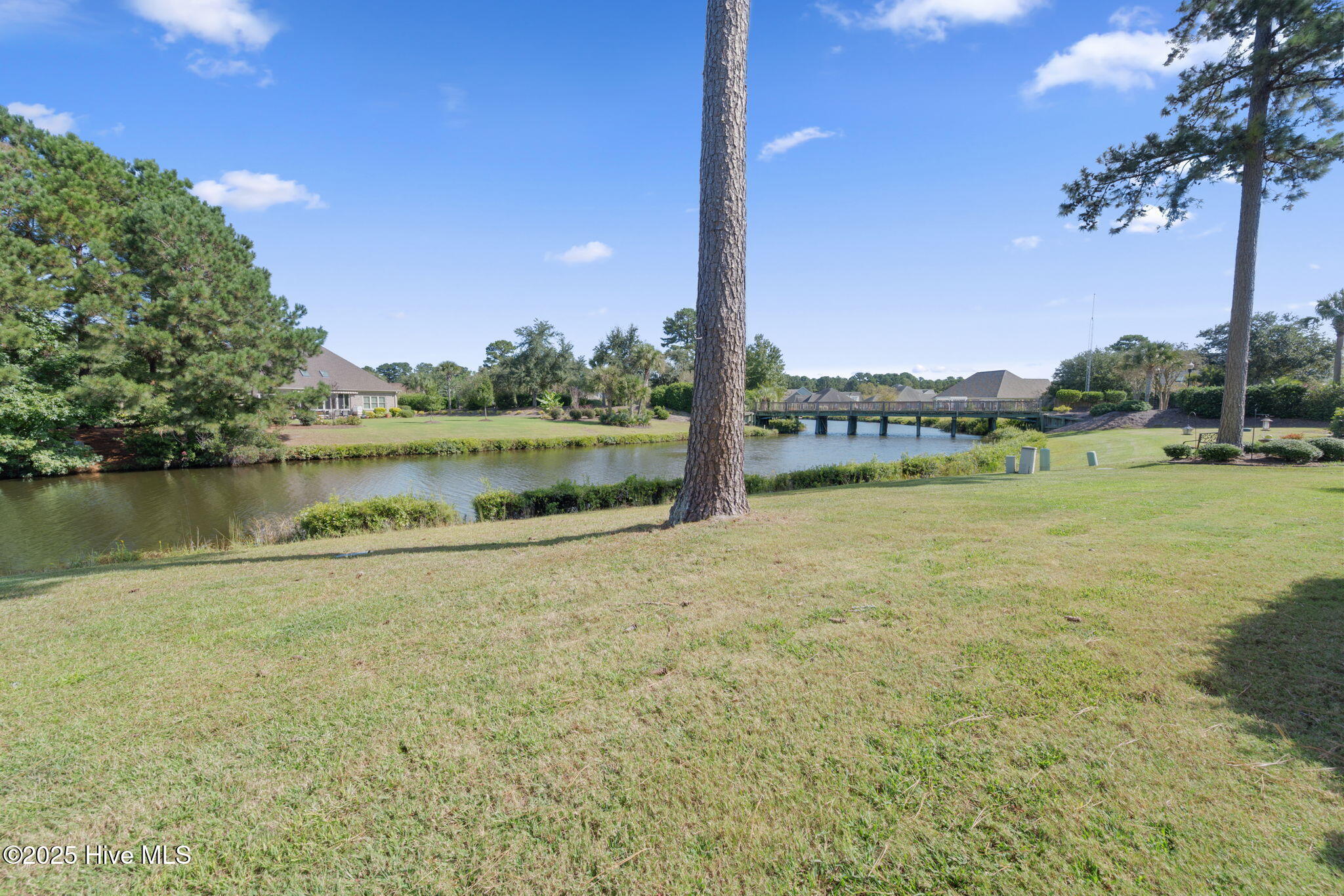 100535127 | Photo 31