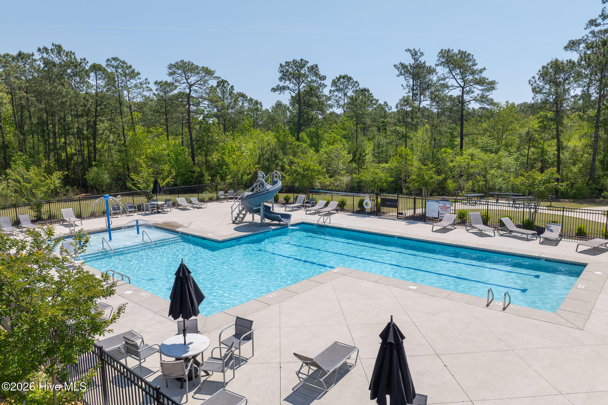 100569599 | Photo 41