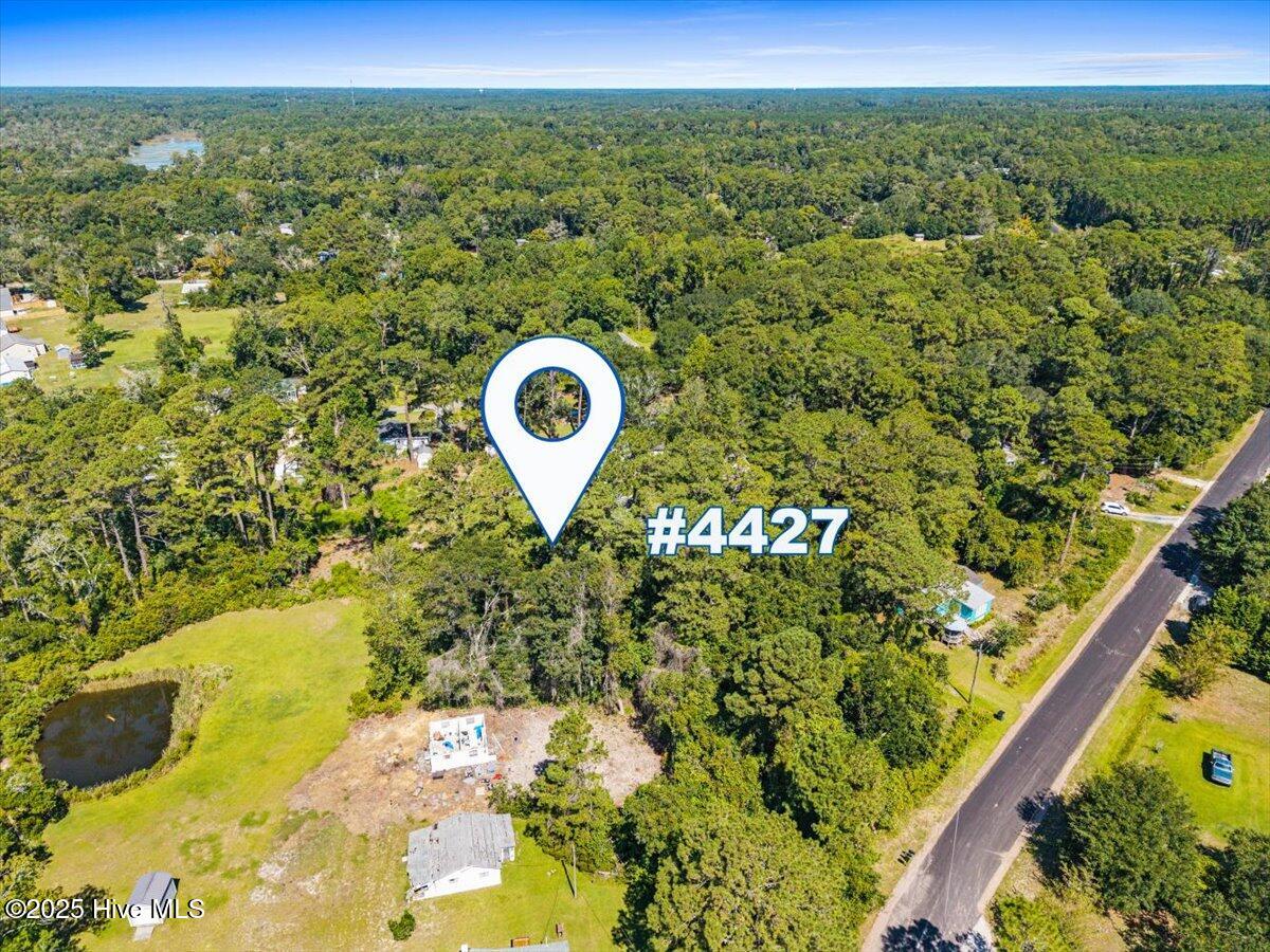 100538571 | Photo 24