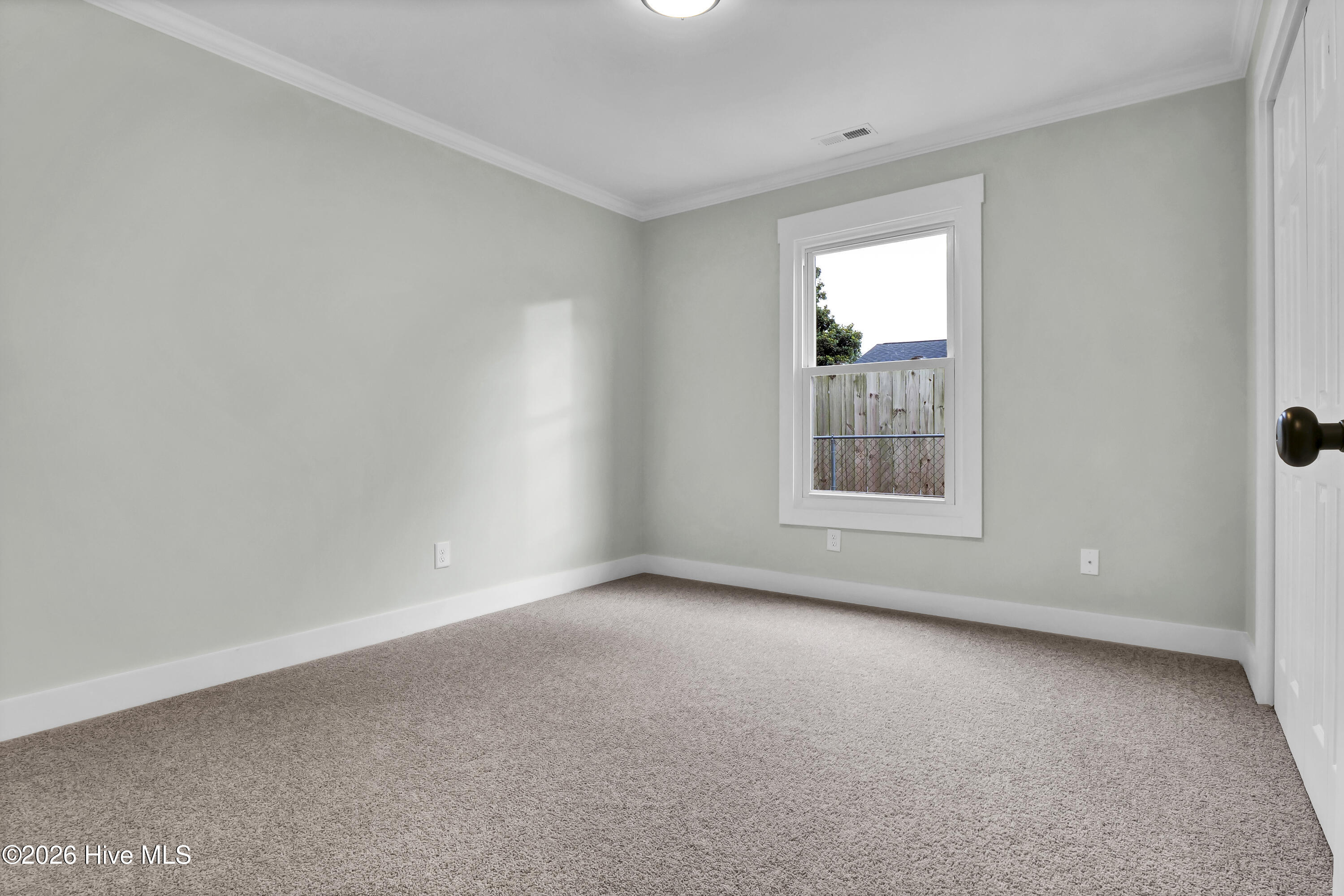 100559000 | Photo 30