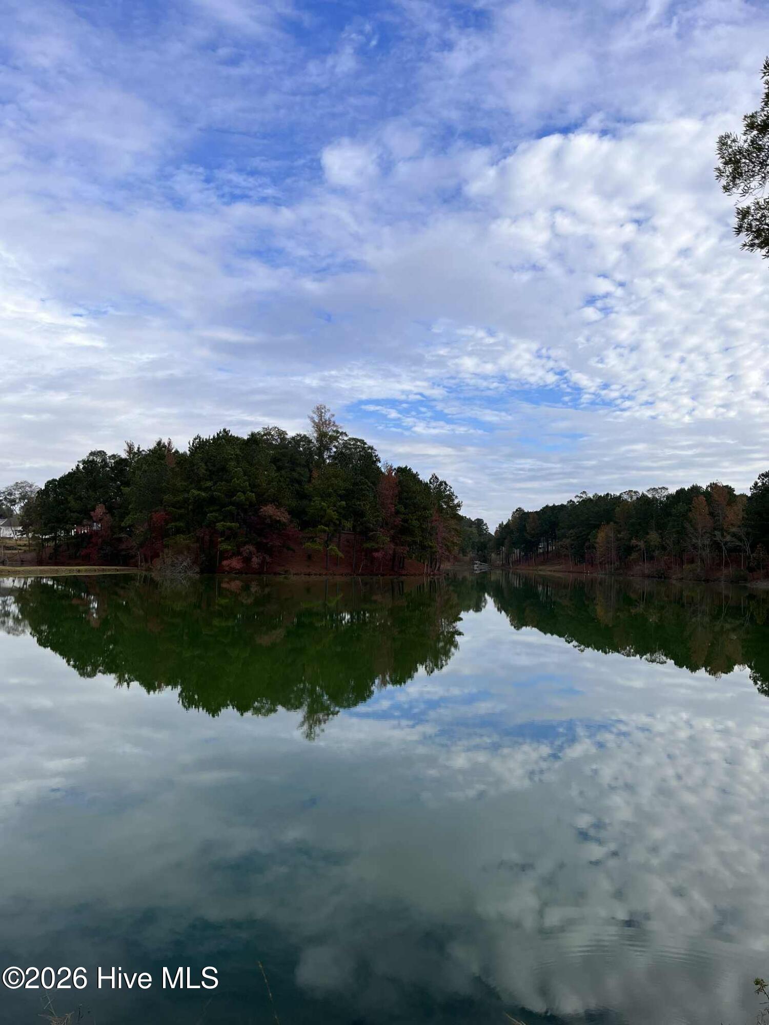 100548611 | Photo 49