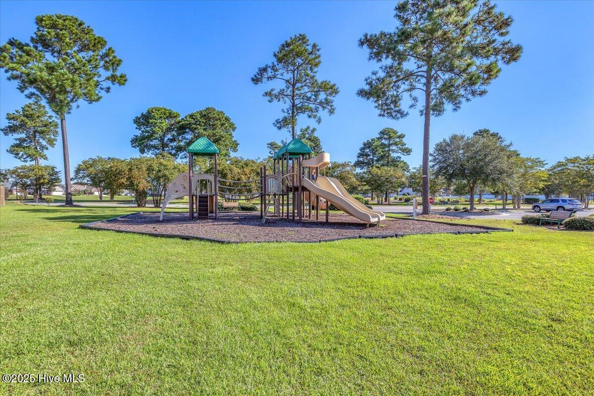 100527924 | Photo 38