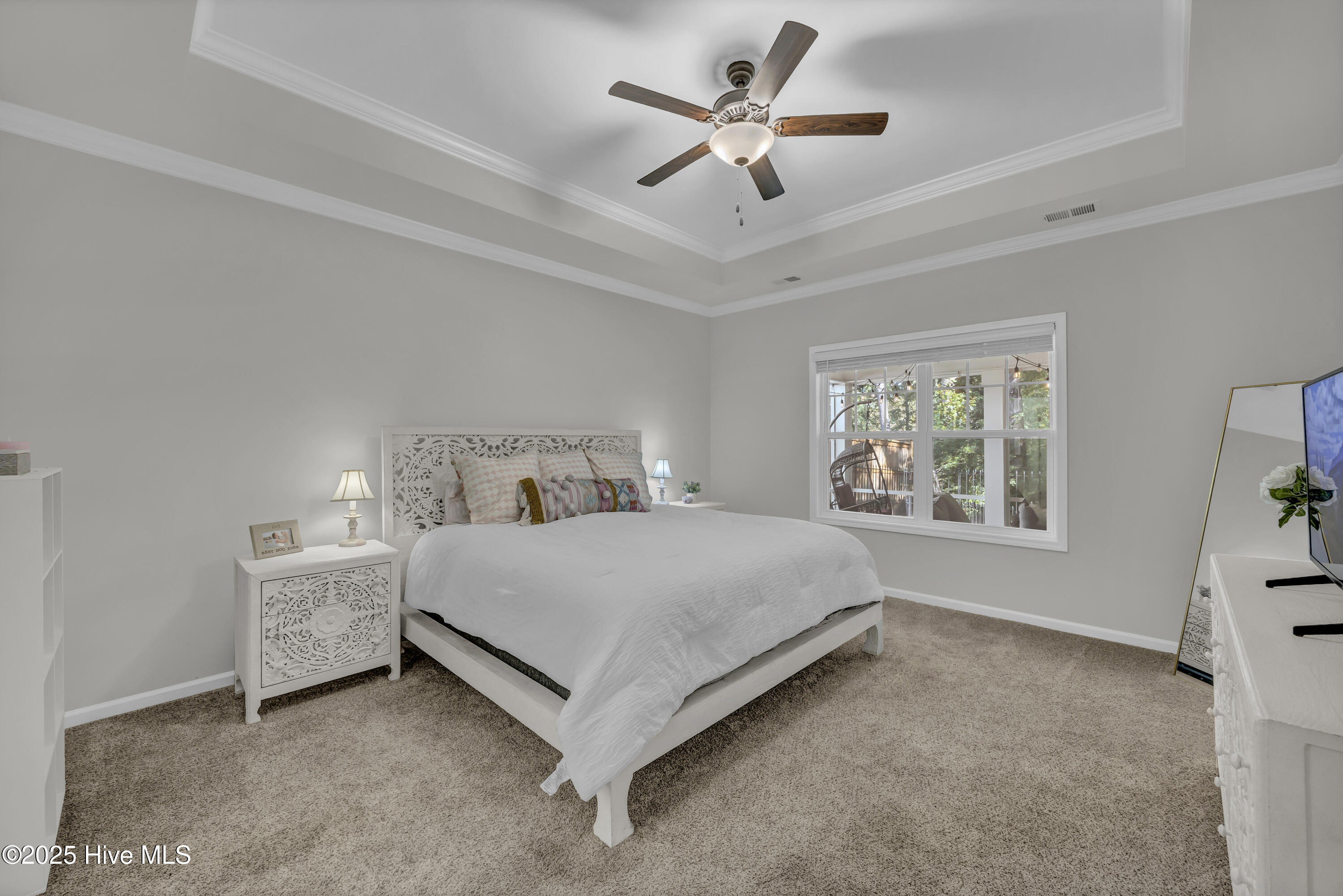 100532723 | Photo 10