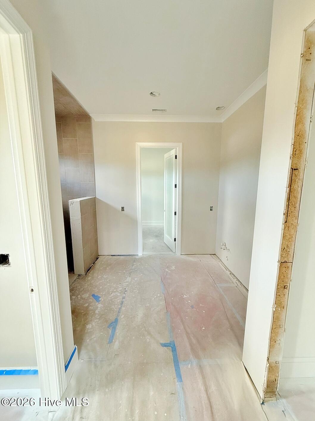 100537475 | Photo 18