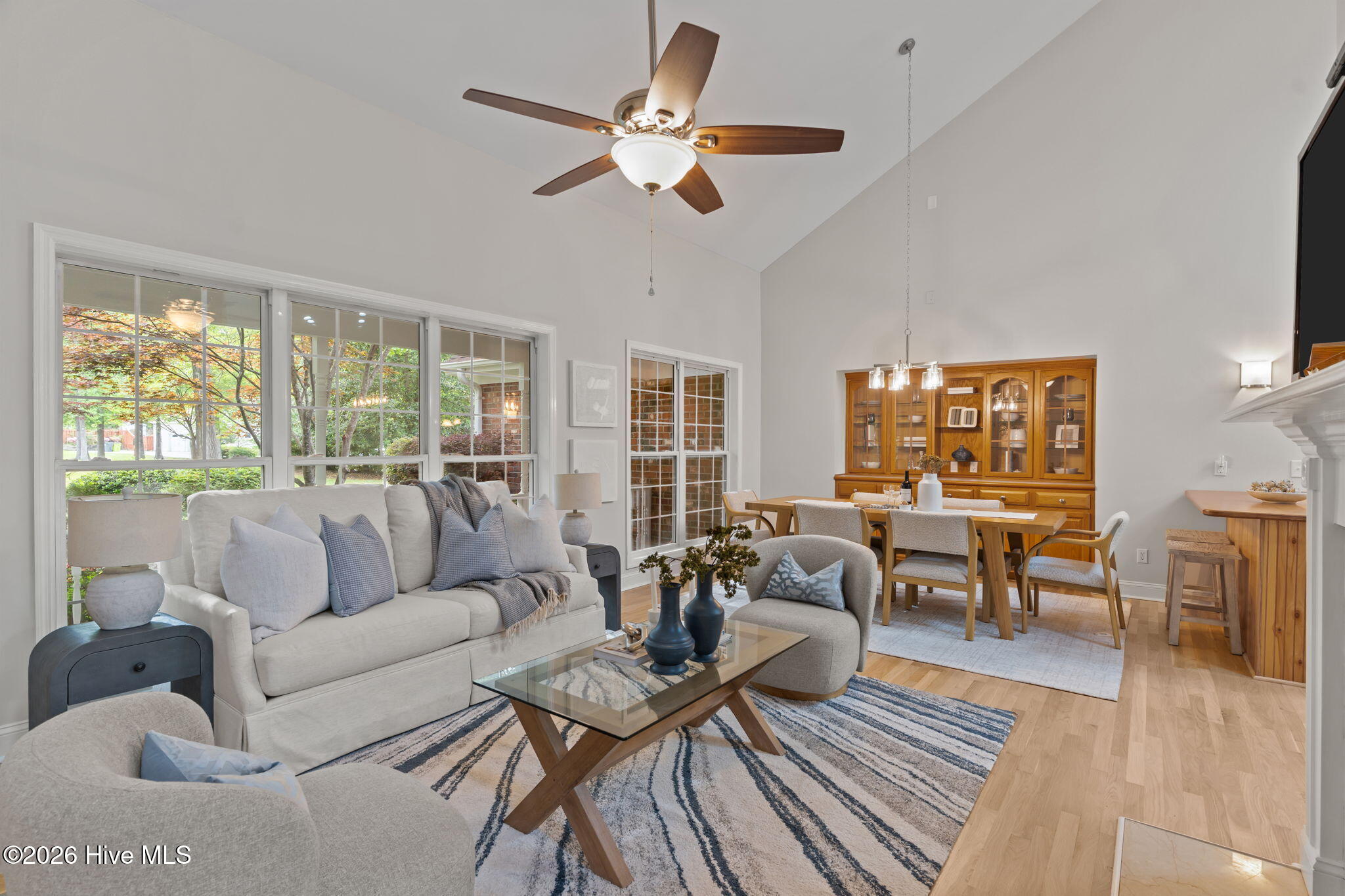 100567890 | Photo 14