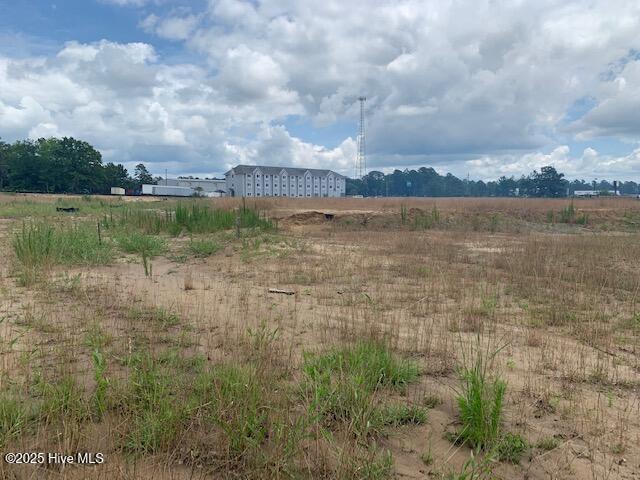 100512196 | Photo 12