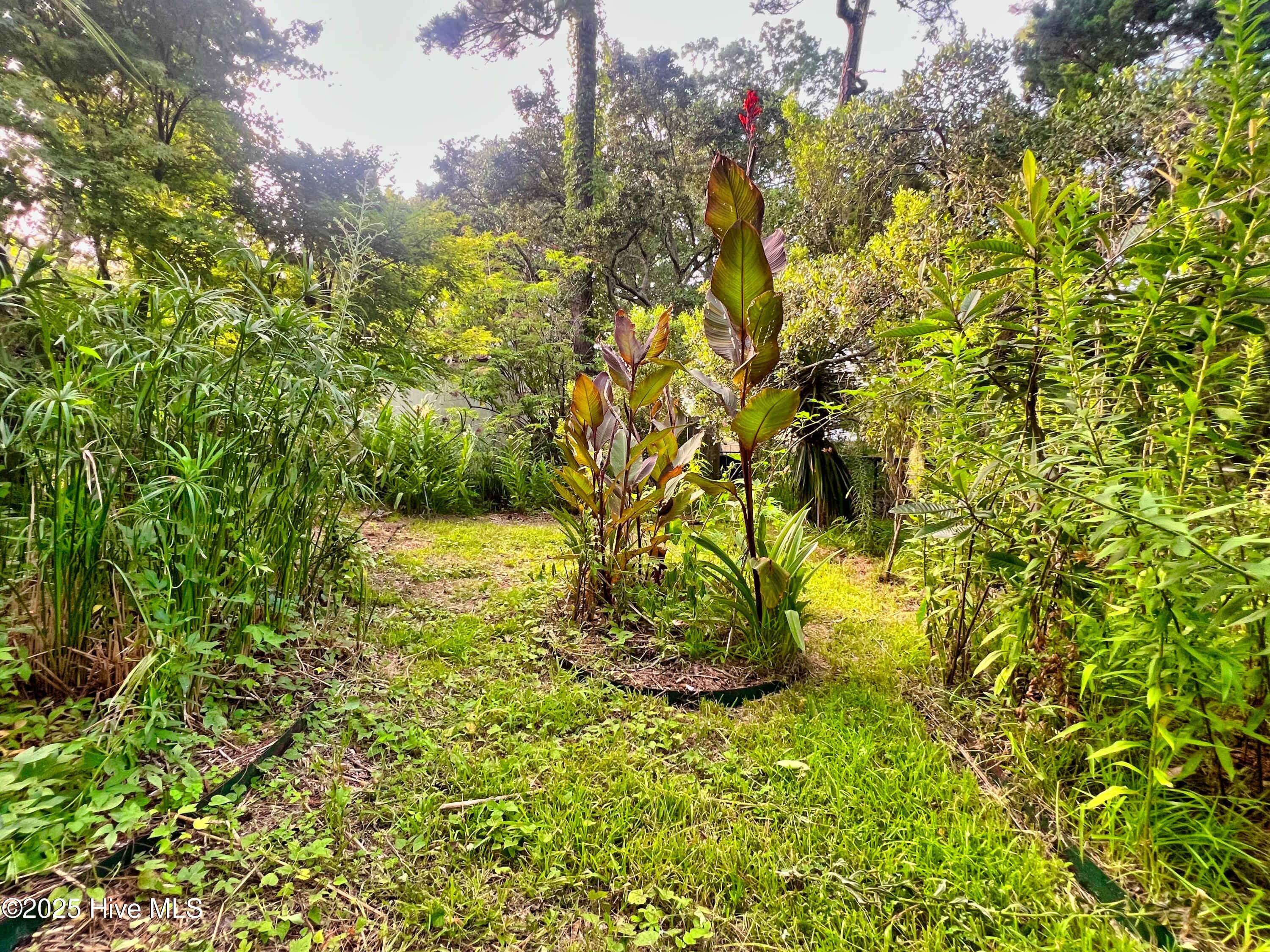 100521049 | Photo 40