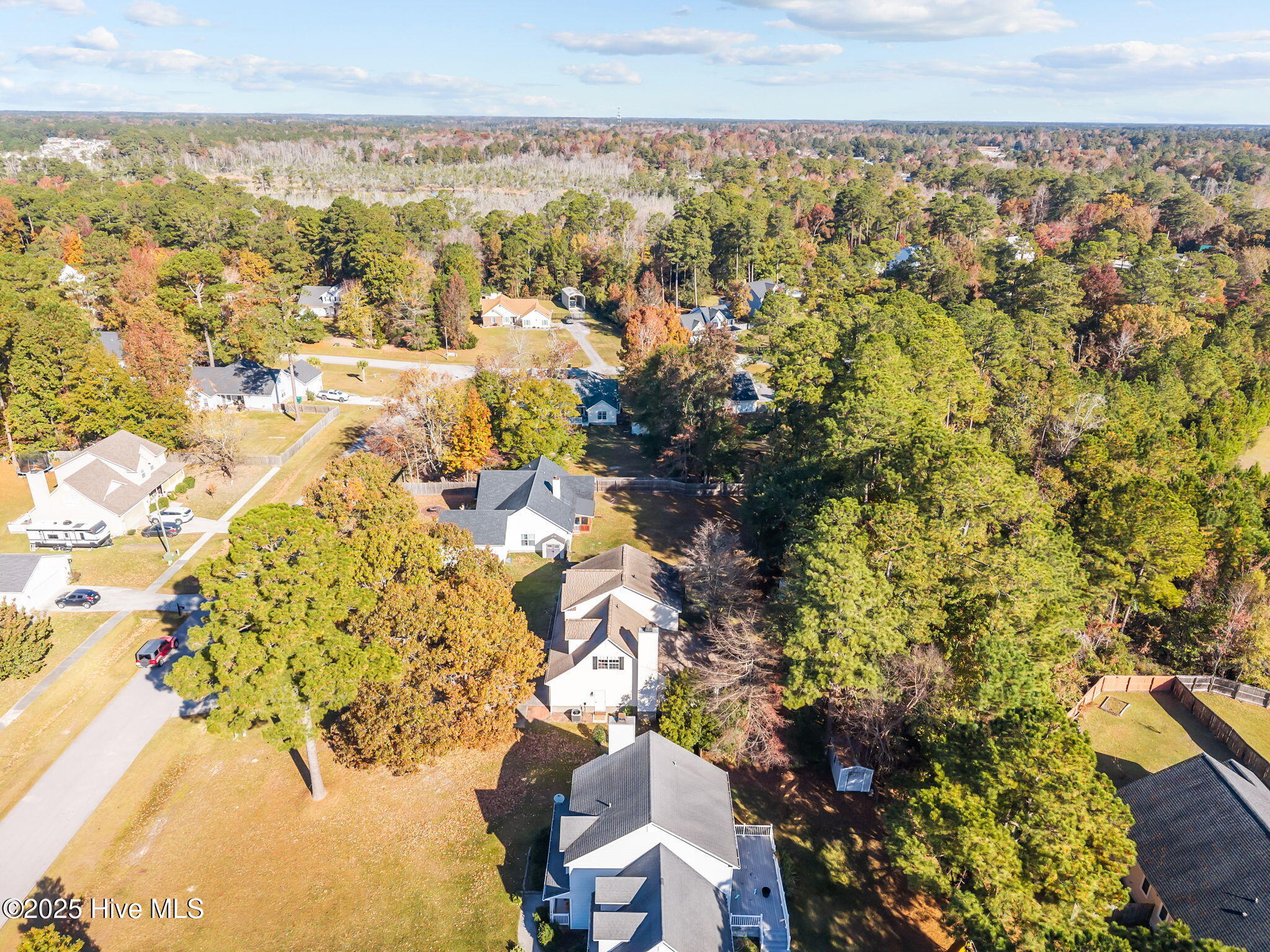 100541595 | Photo 54