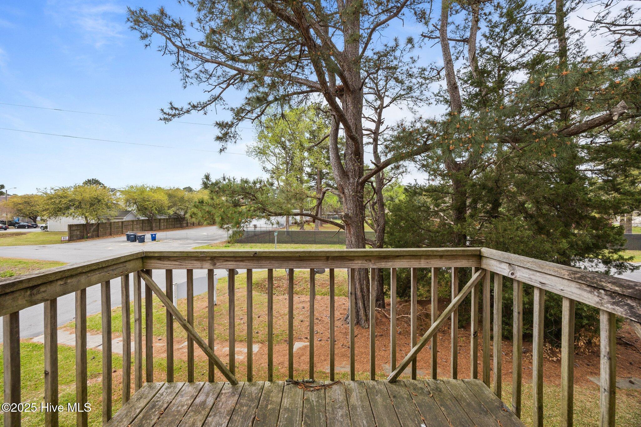 100542477 | Photo 15