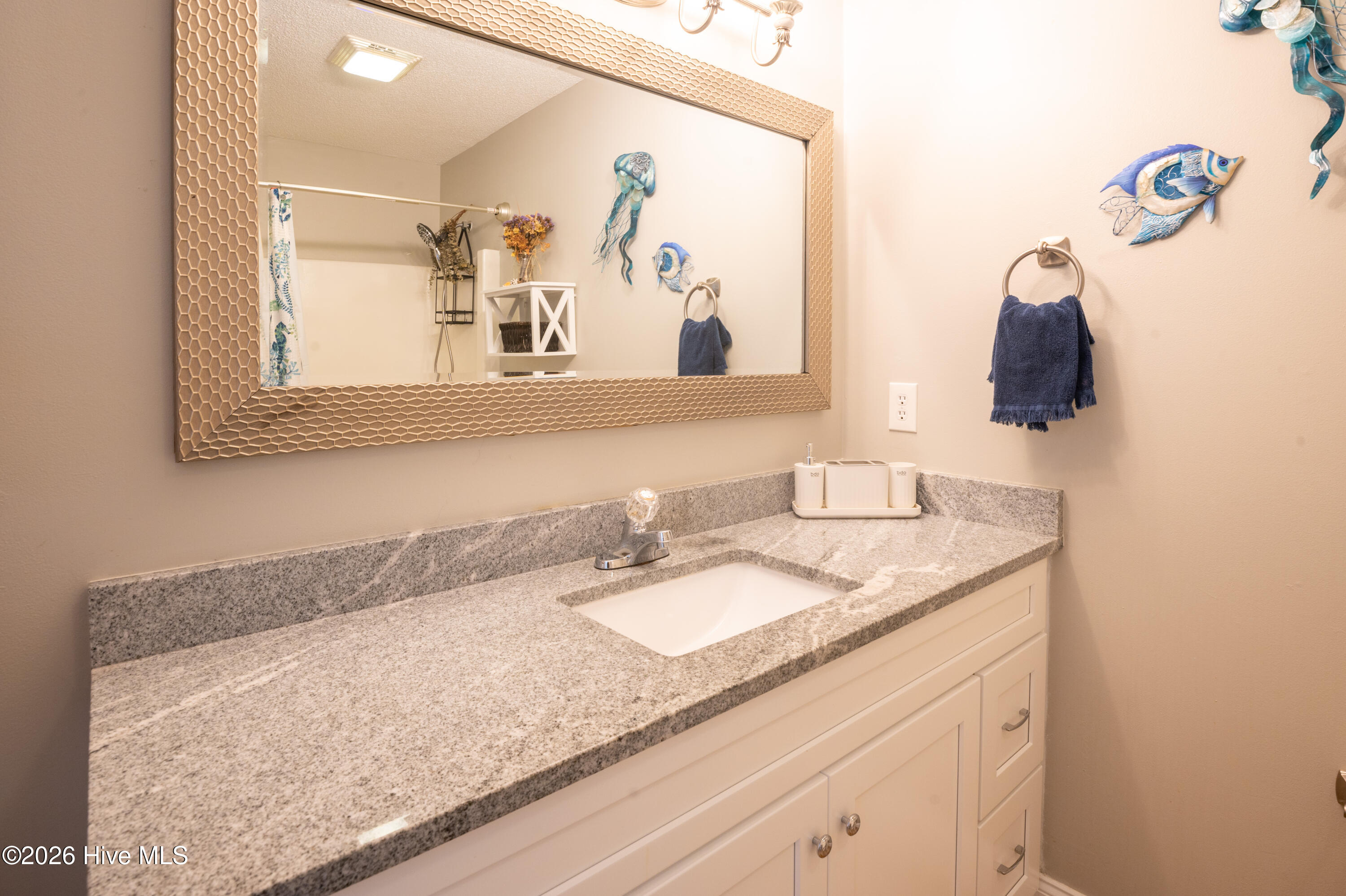 100553127 | Photo 22