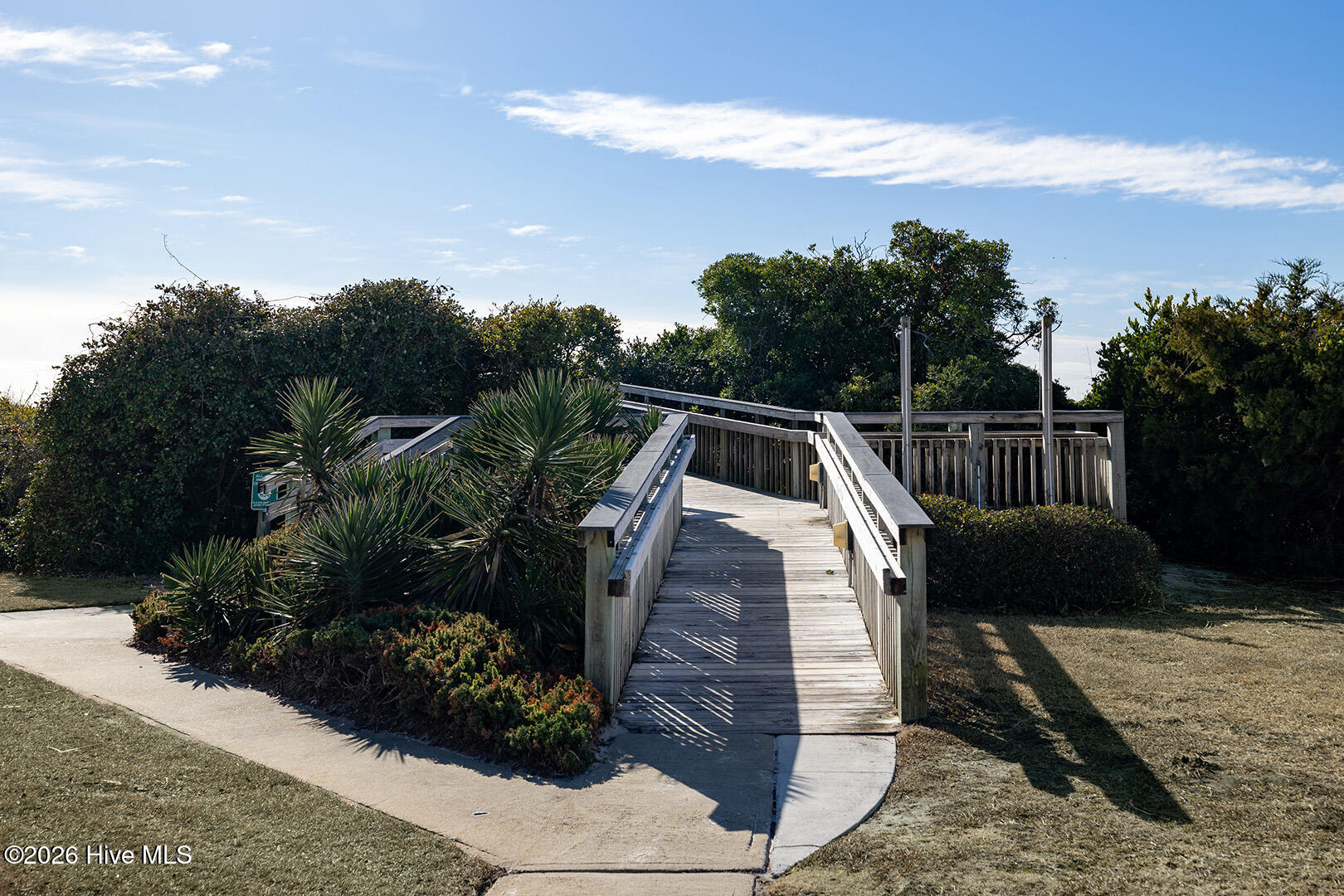 100562169 | Photo 21