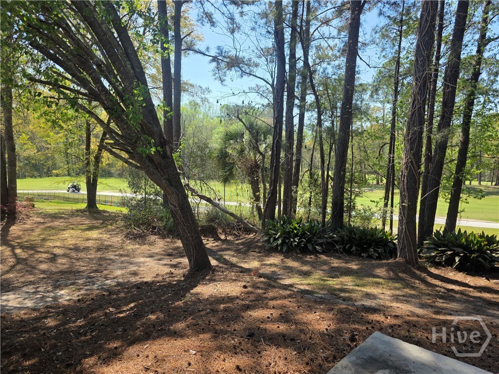 434 Roberts Way, Rincon, GA 31326 Listing Photo  29