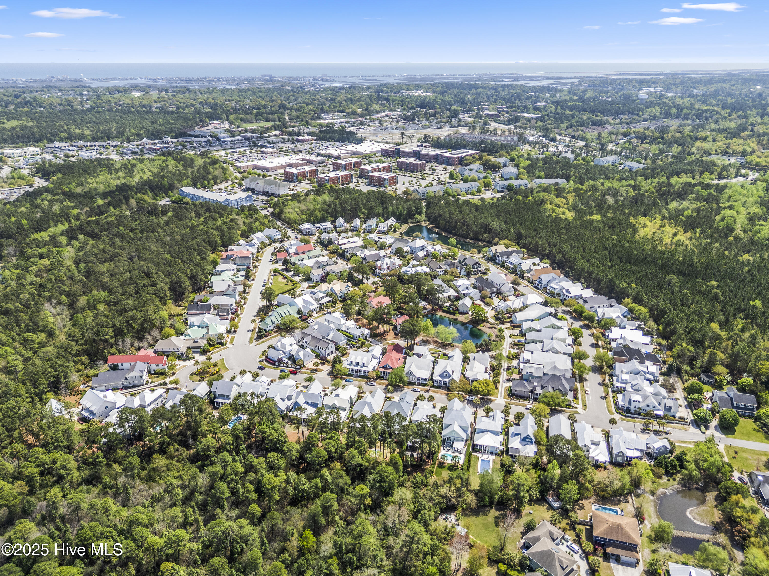 100537551 | Photo 81