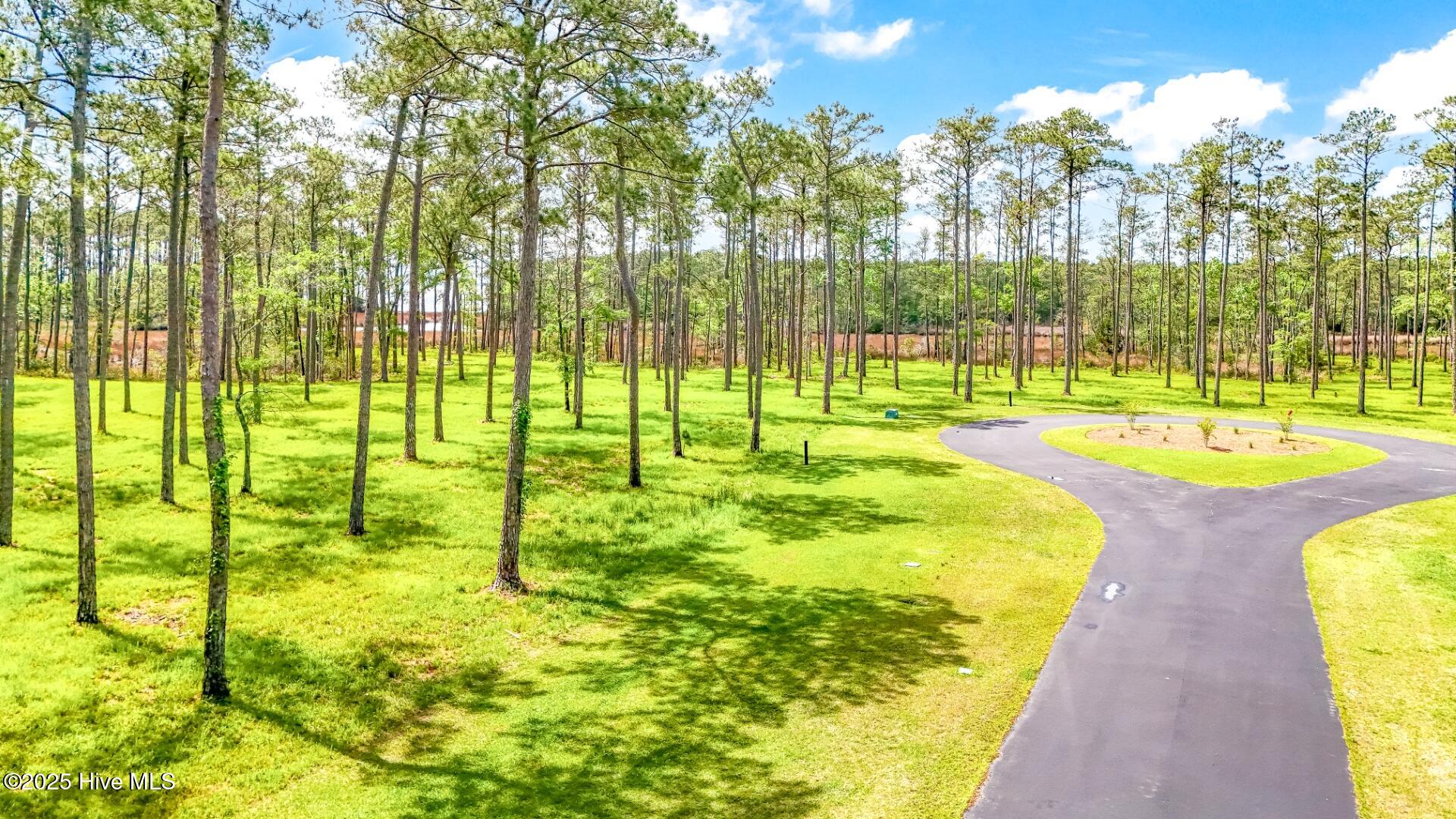 175 River Watch Road, Oriental, NC, 28571