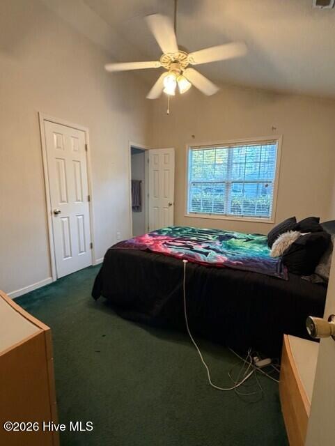 100538526 | Photo 13