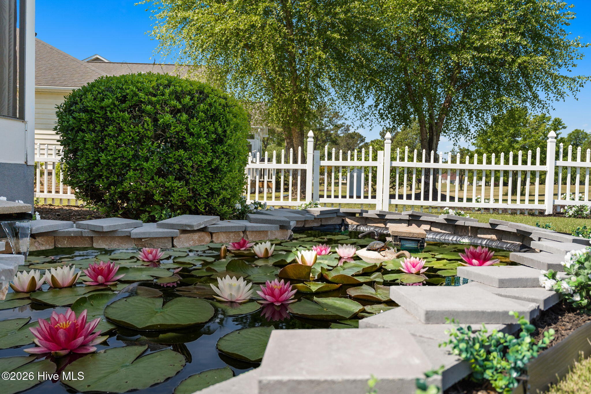 100567256 | Photo 54