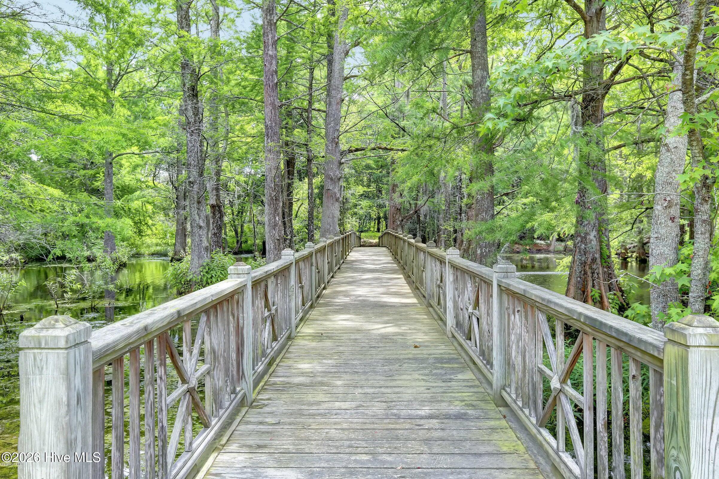 100564868 | Photo 64