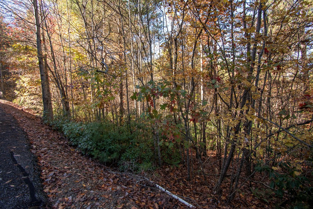 Exterior photo of 66 66 Choctaw Ridge Trail, Murphy, NC 28906. MLS: 98525032