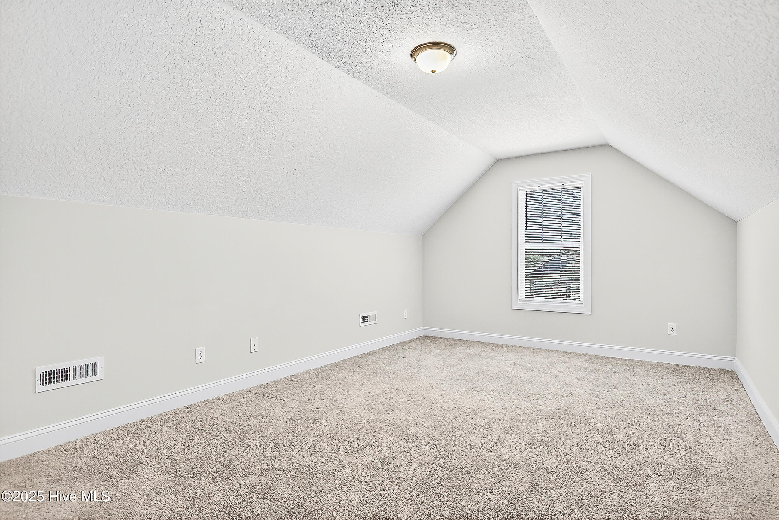 100539461 | Photo 26