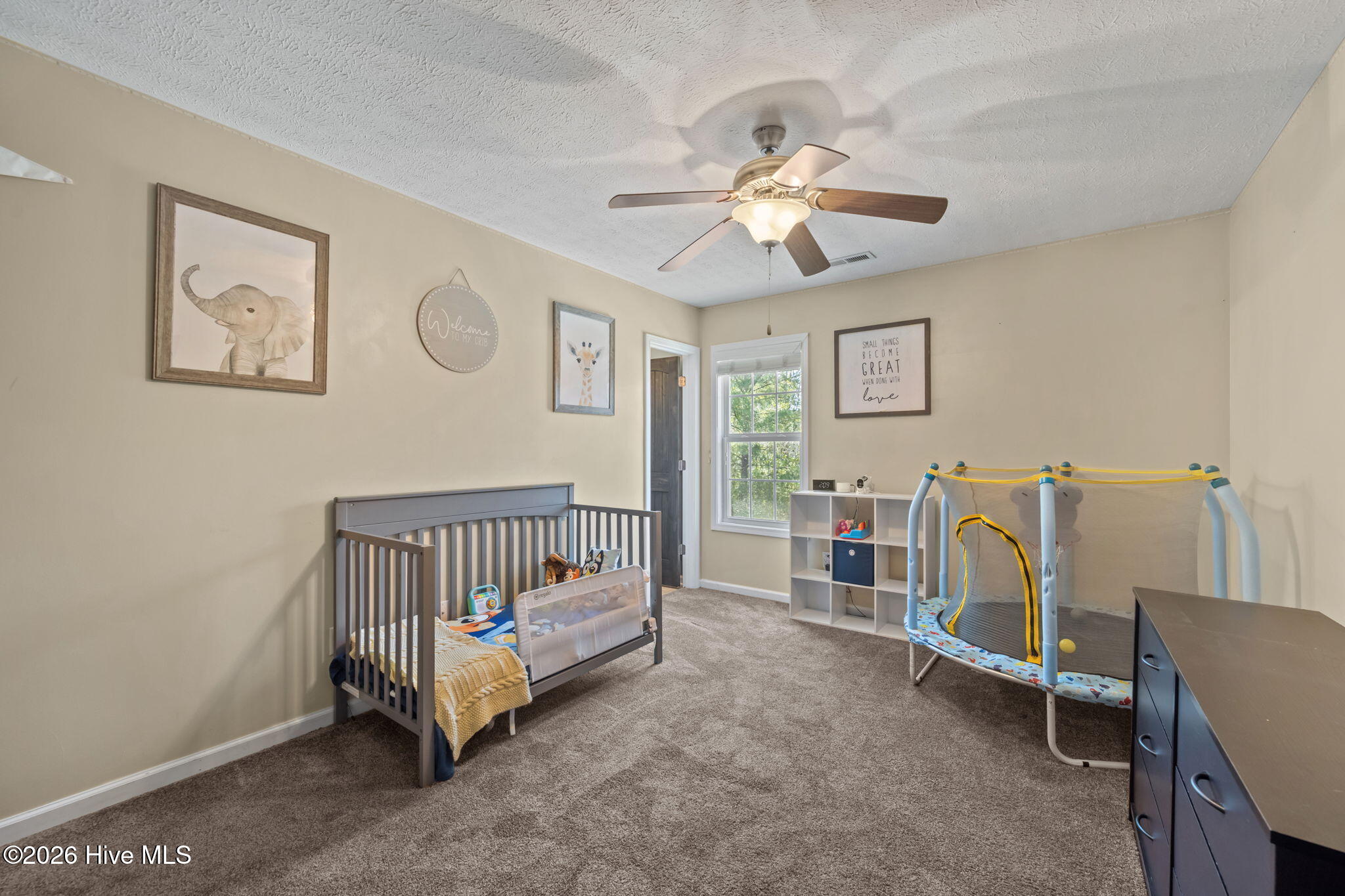 100564313 | Photo 17