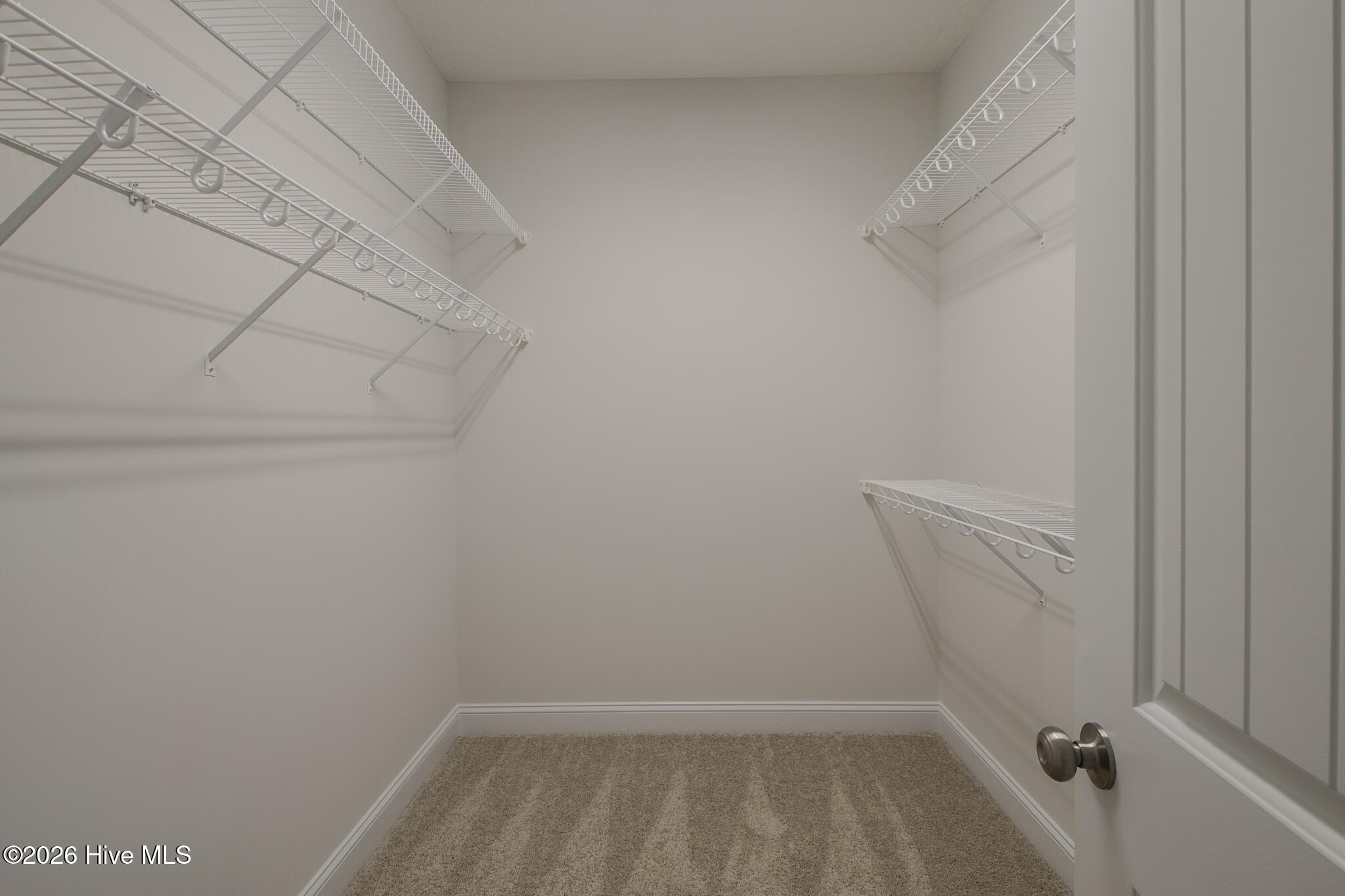 100511228 | Photo 22