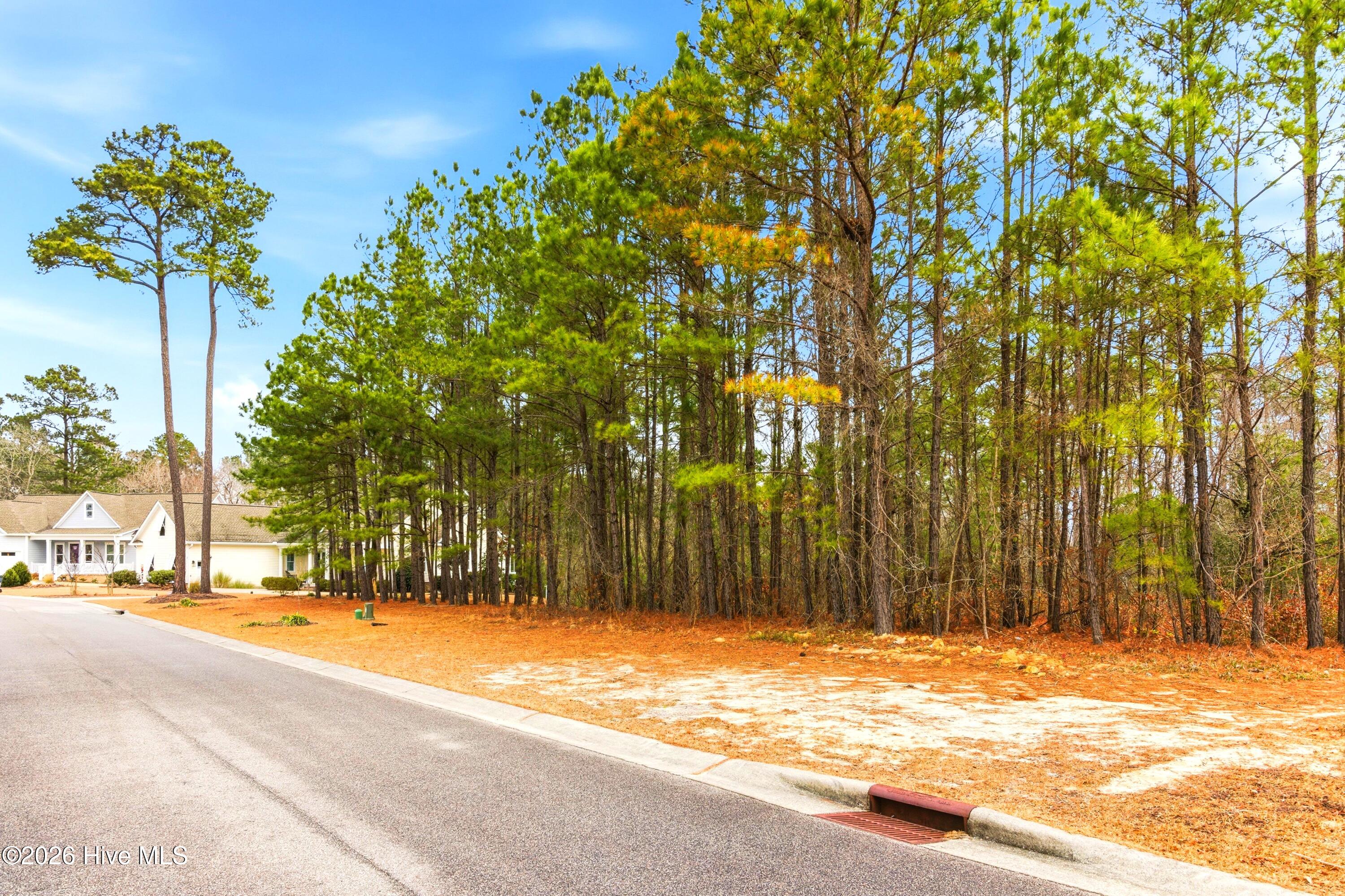 100551490 | Photo 16