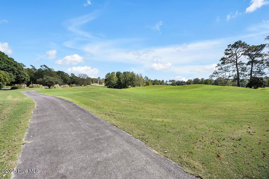 100535984 | Photo 136