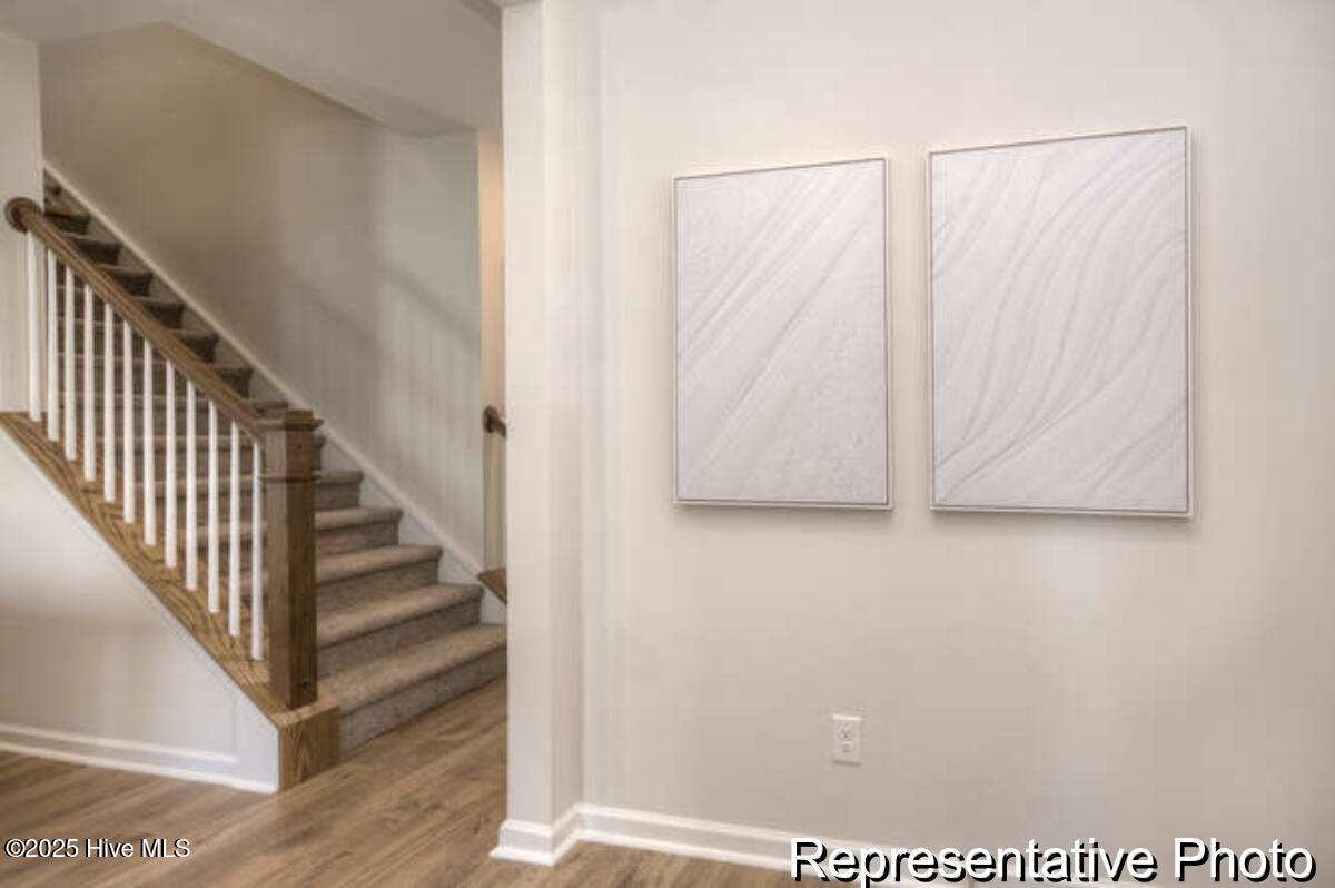 100529064 | Photo 33