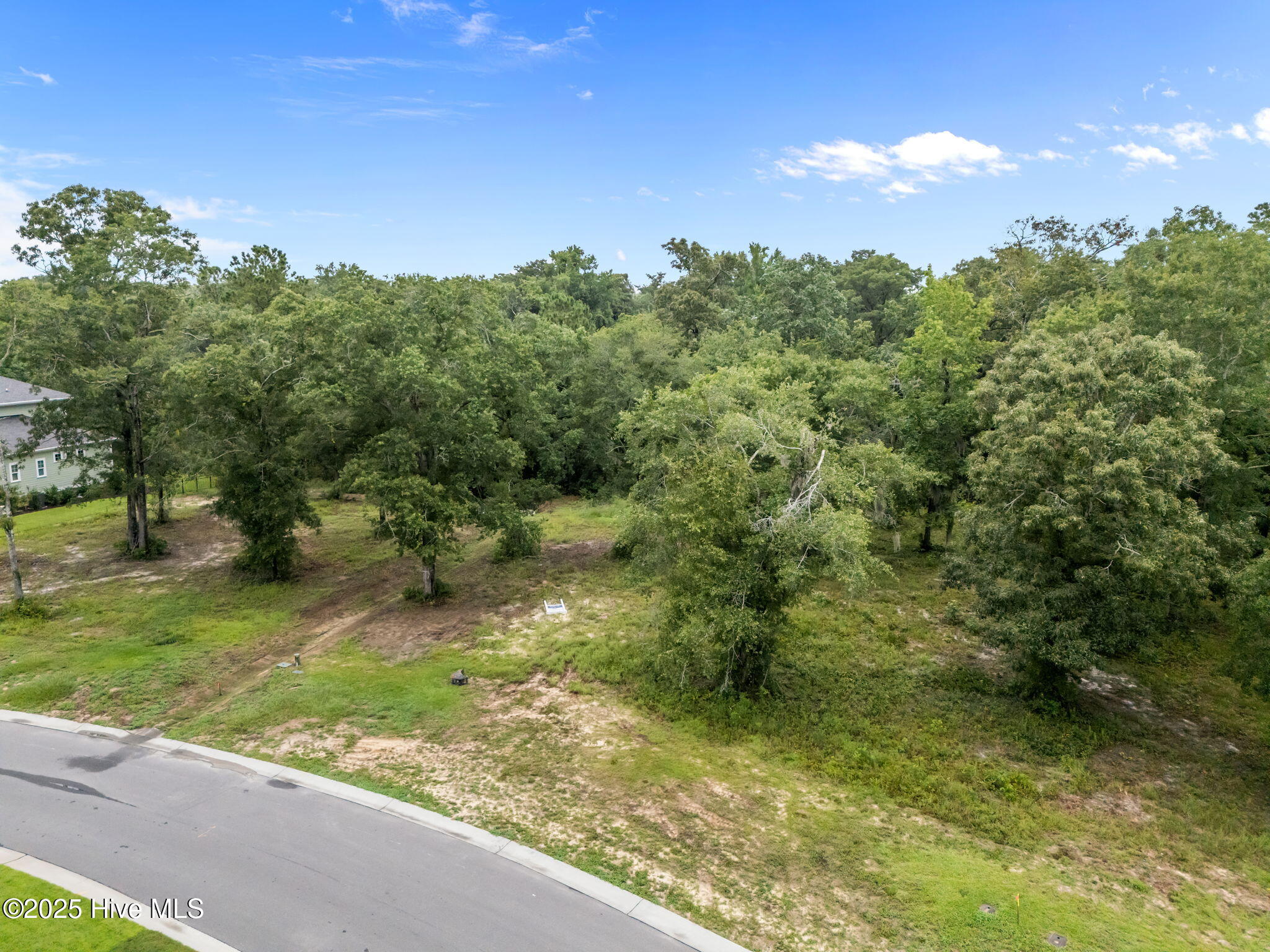 100523217 | Photo 13