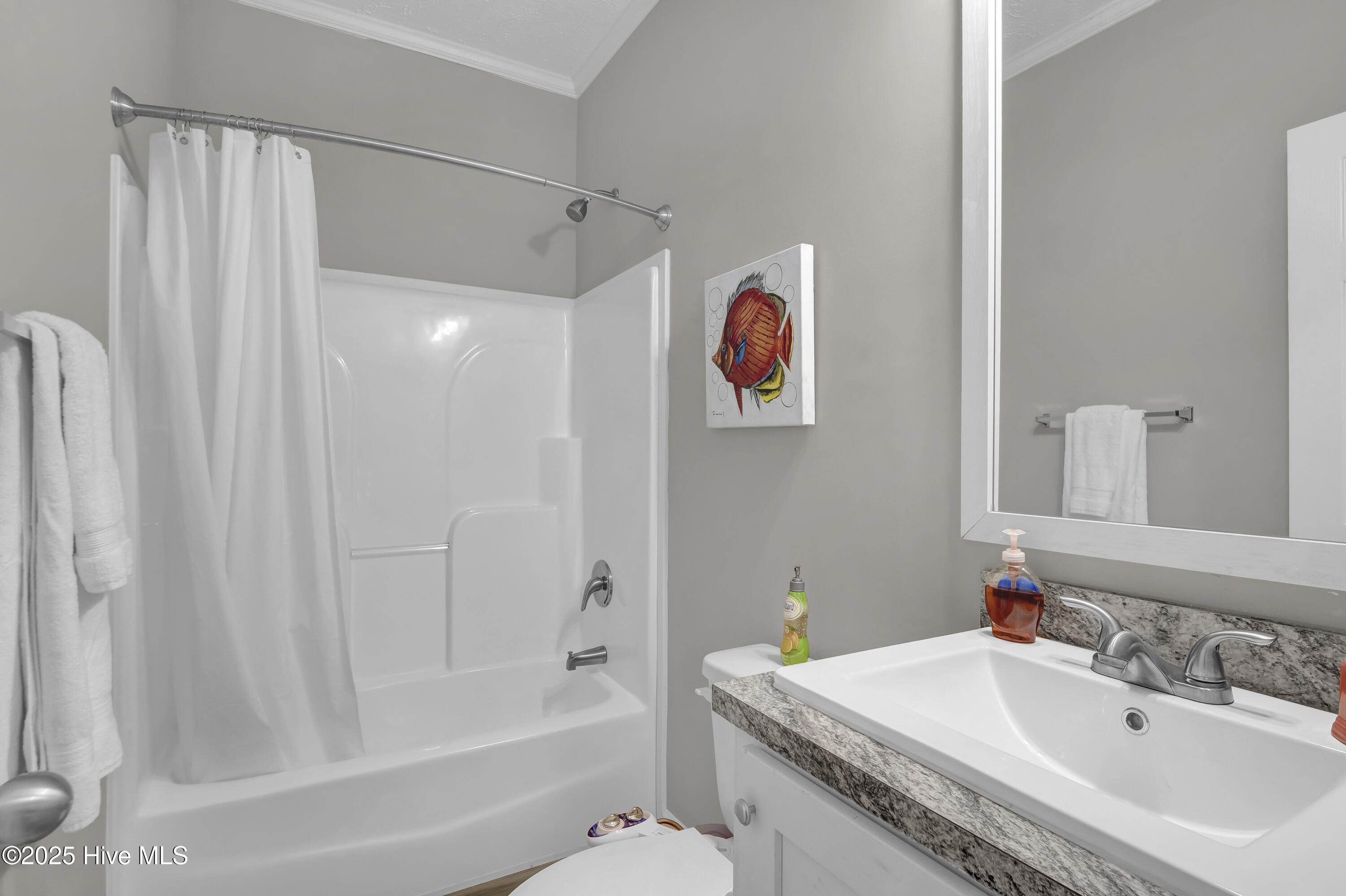 100510336 | Photo 24