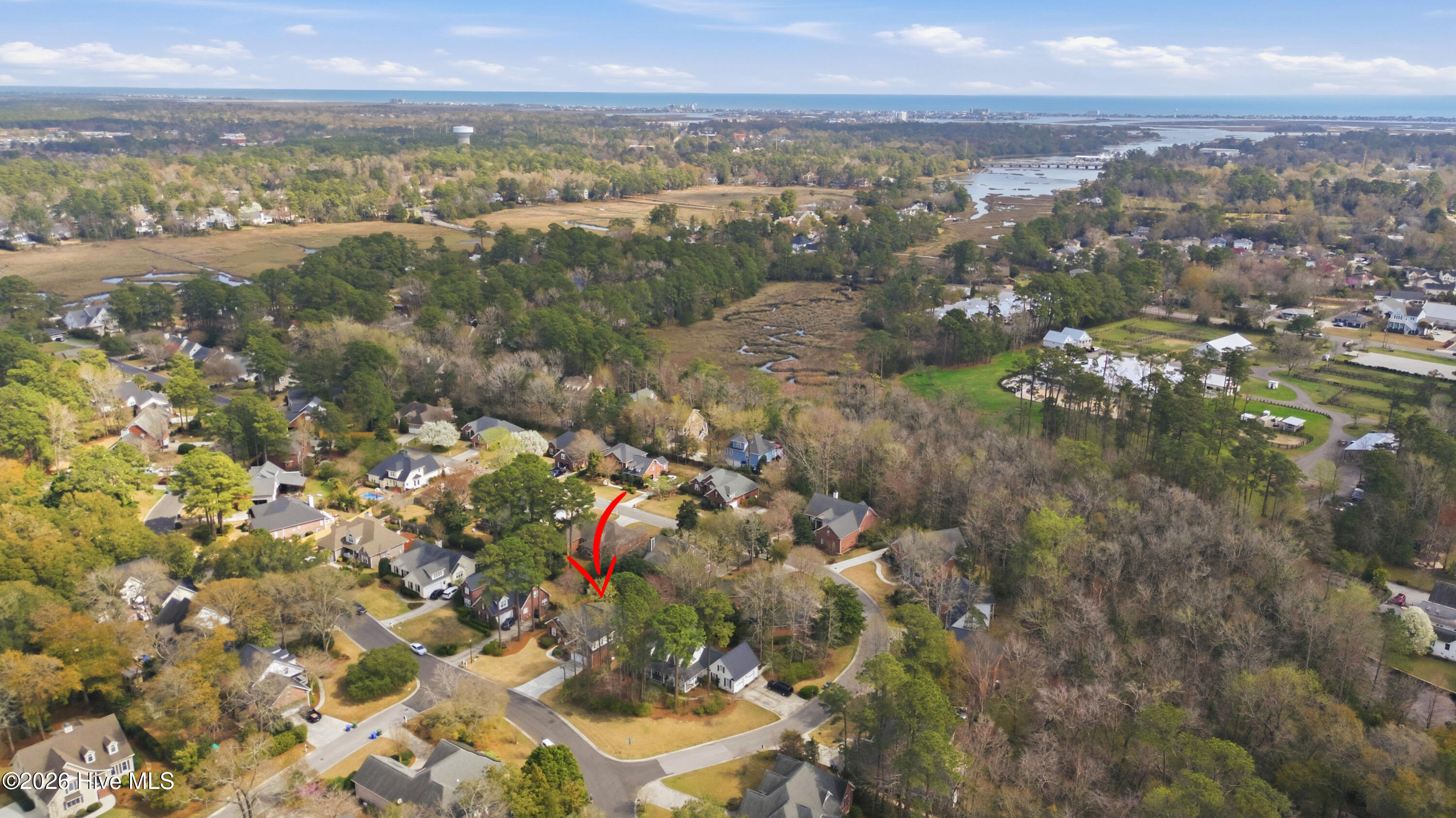 100560916 | Photo 91