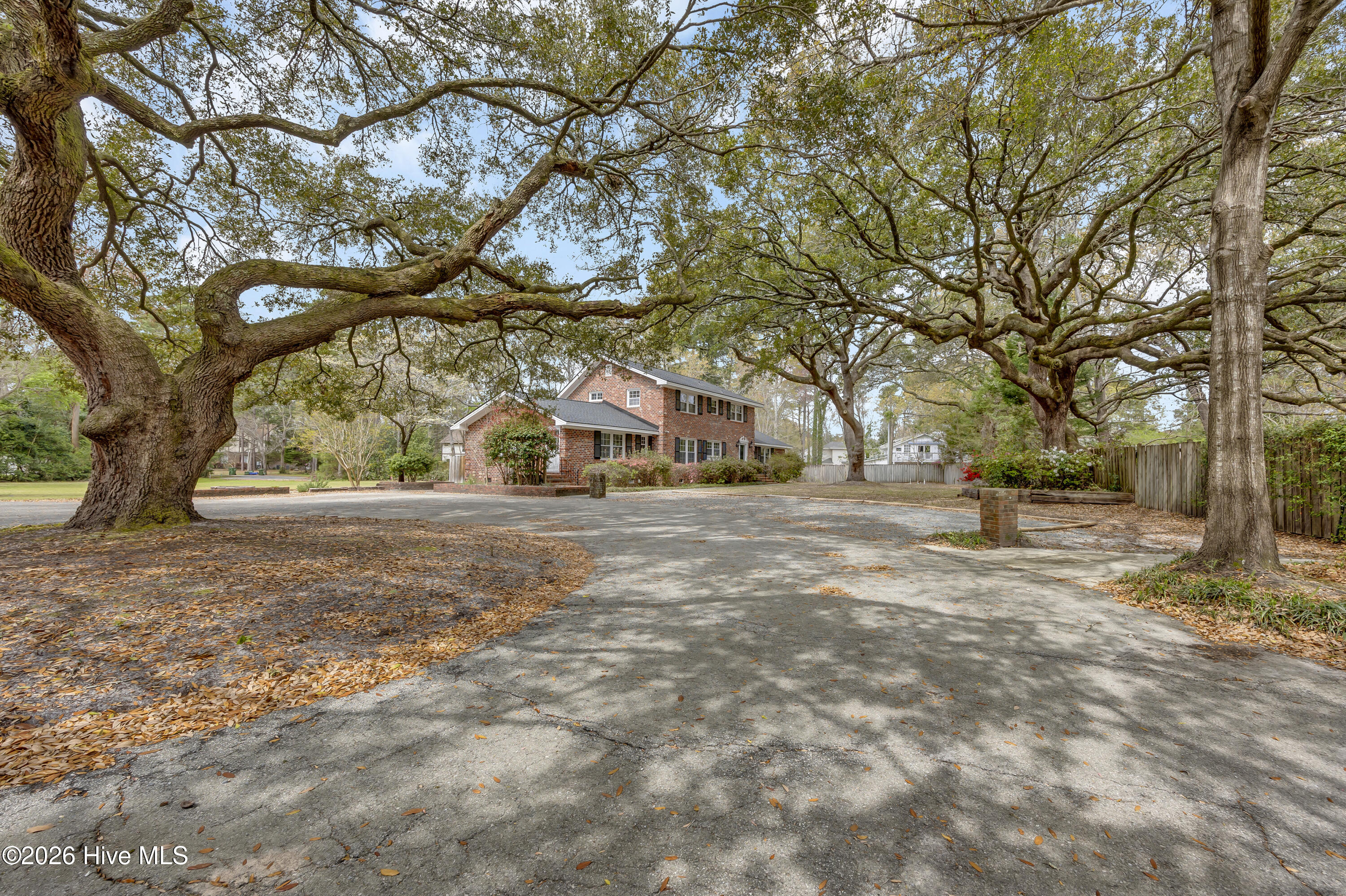 100563507 | Photo 17