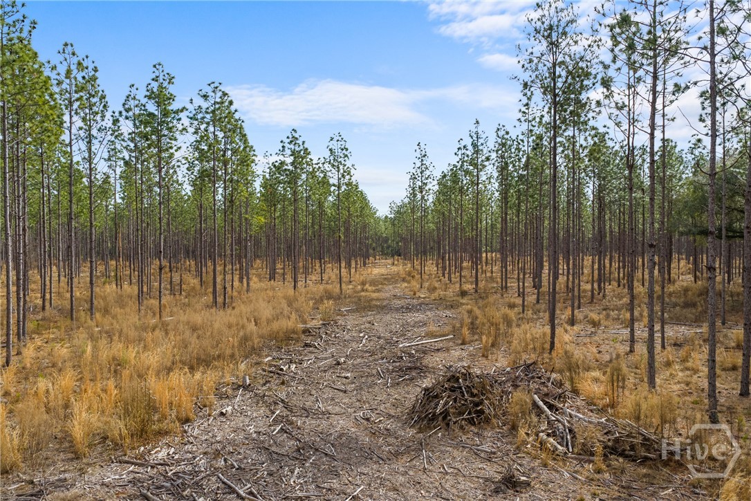 1000 Old River Road S, Brooklet, GA, 30415