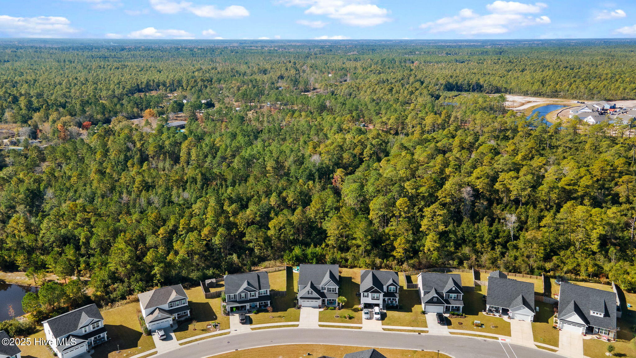 100541637 | Photo 54