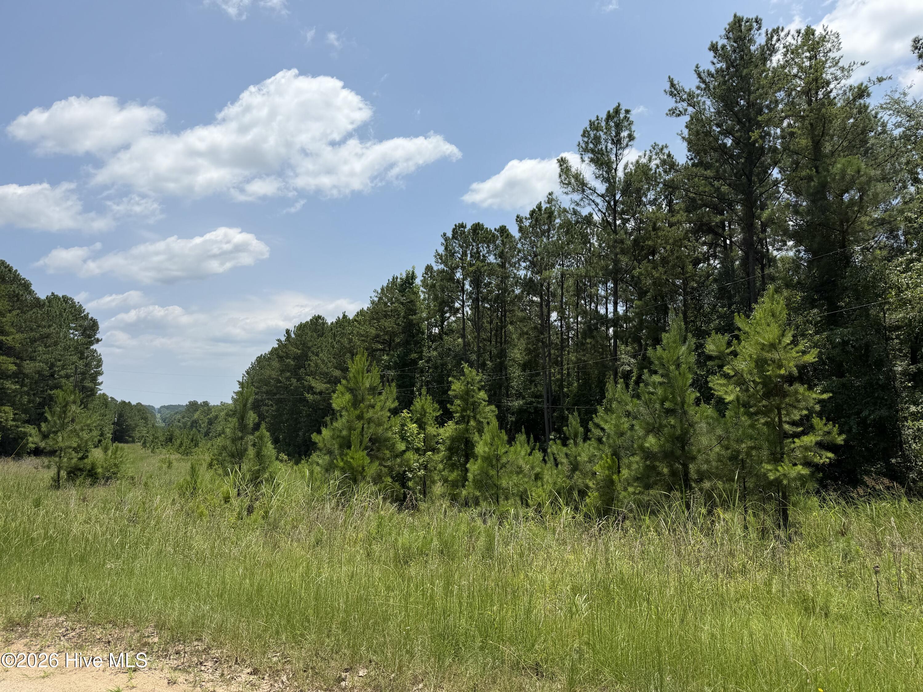 2nd image of 0 Burks Mountain Rd, Appling, GA 30802 | MLS# 100586342