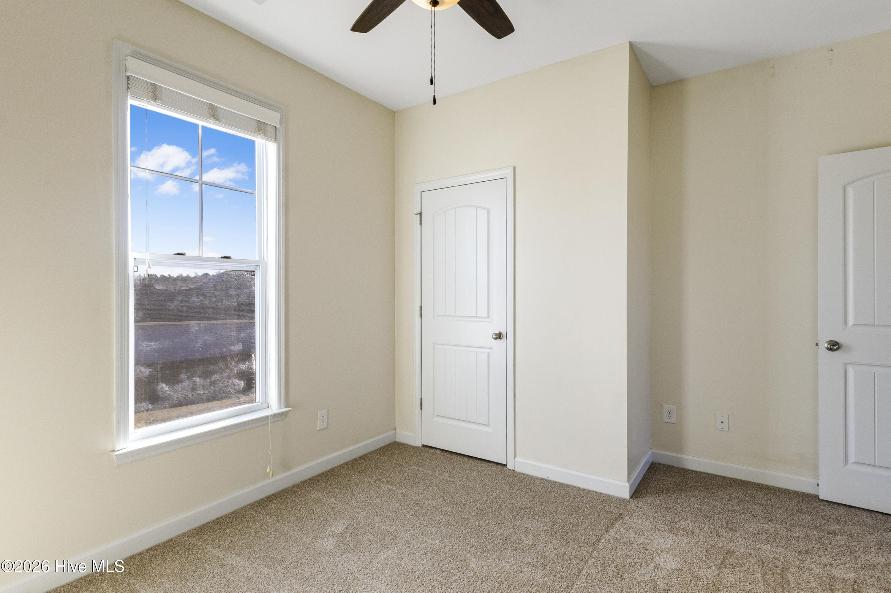 100552457 | Photo 19