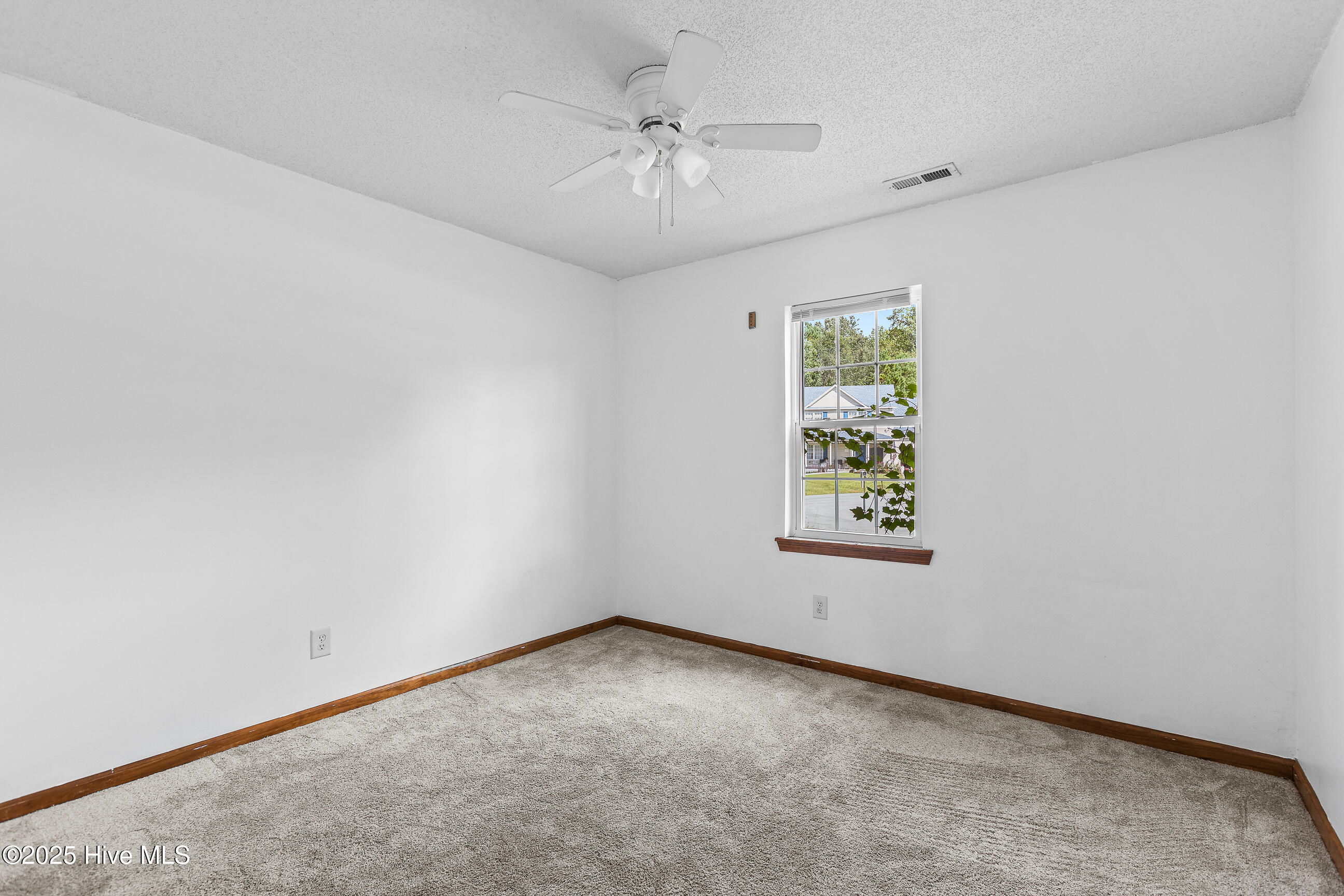 100535056 | Photo 15