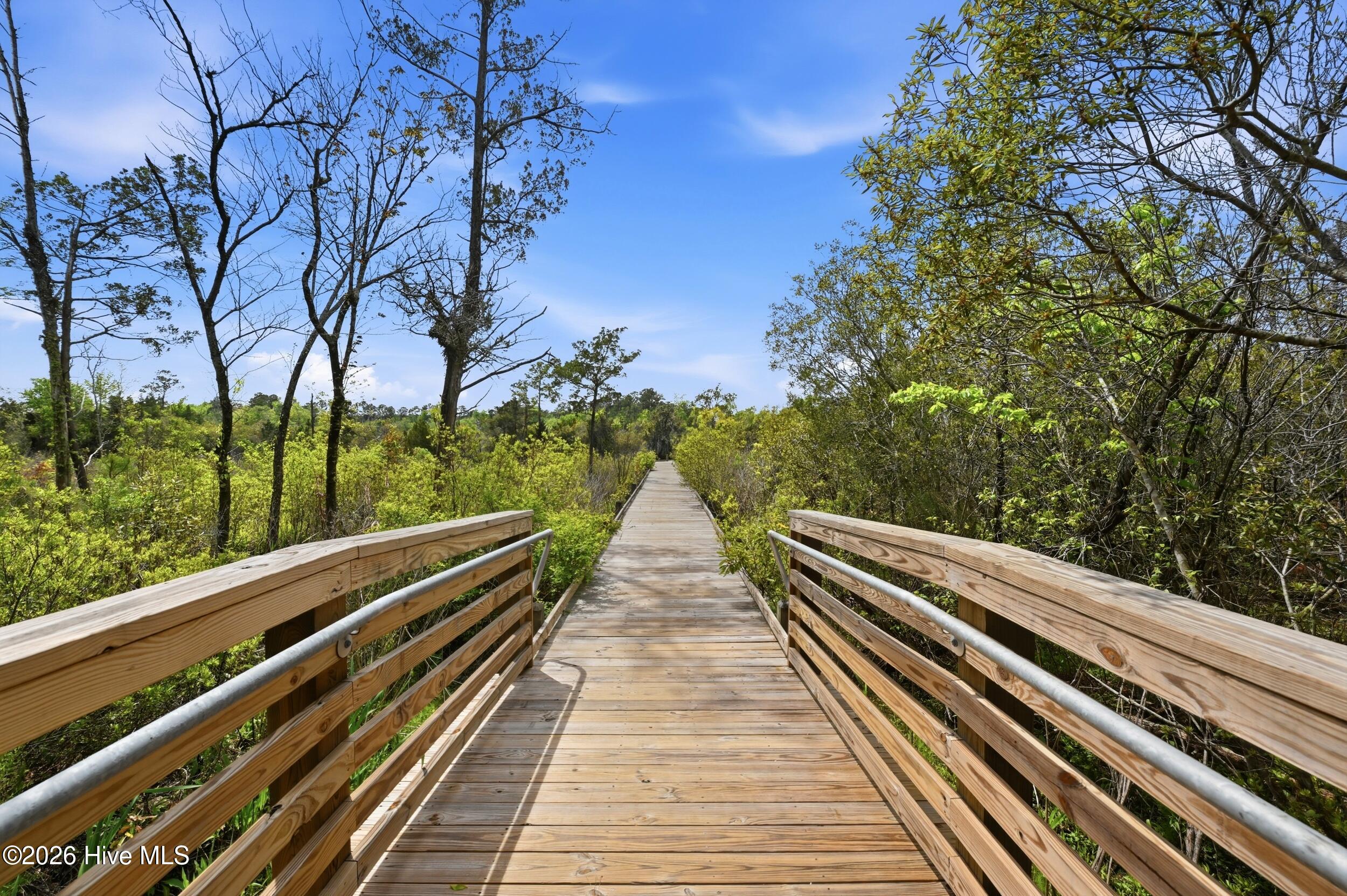 100566143 | Photo 42