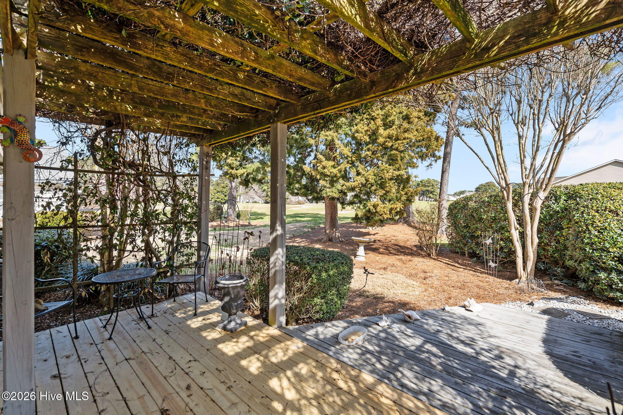 100556282 | Photo 45