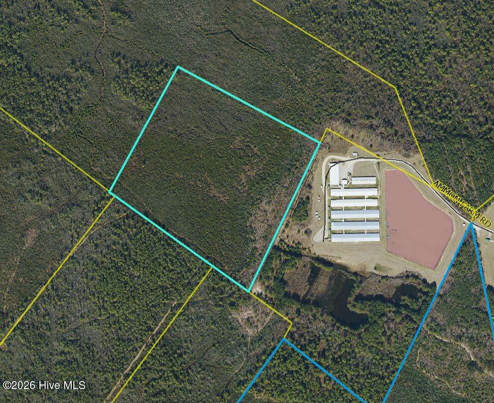 Exterior photo of 44 Acres Nance-Coble Tract Road, Garland, NC 28441. MLS: 100590854
