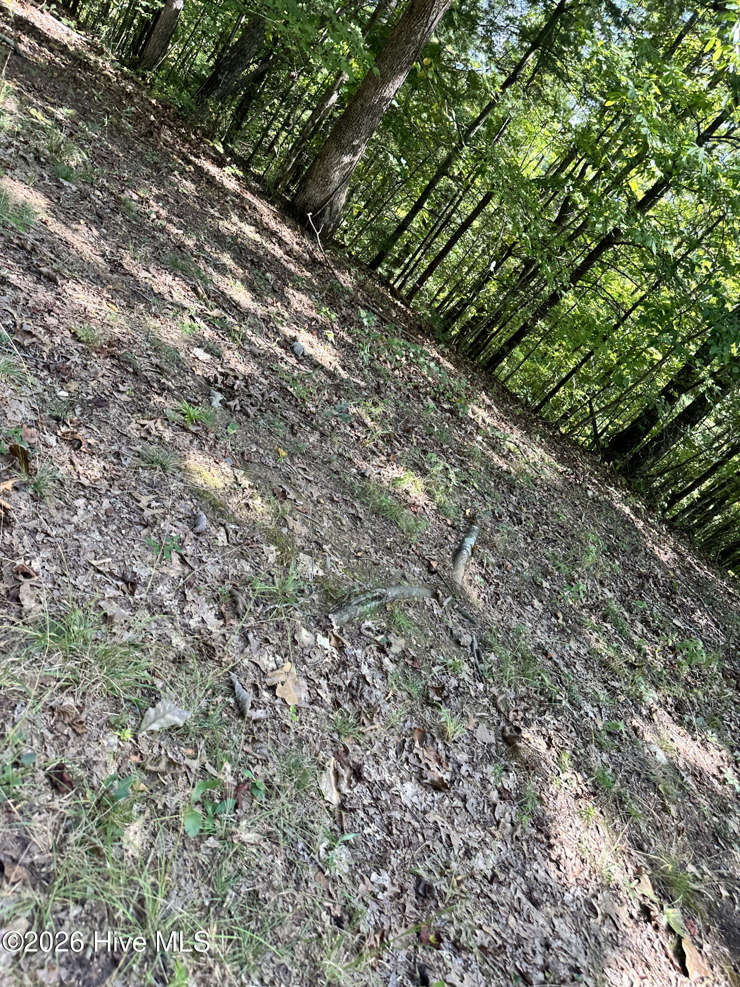 100604149 | Photo 3