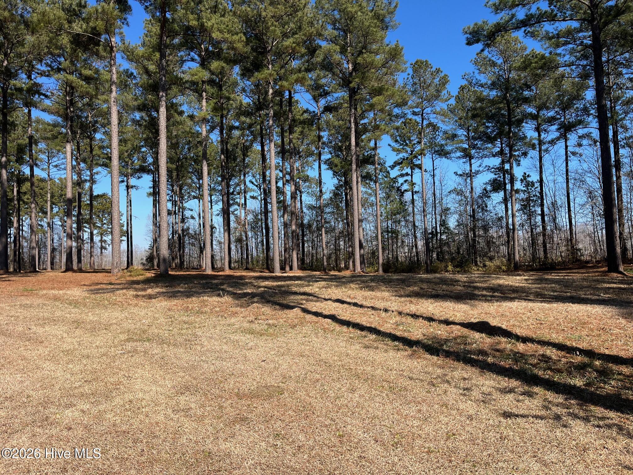 2 122 Bald Head Island Court S,Oriental