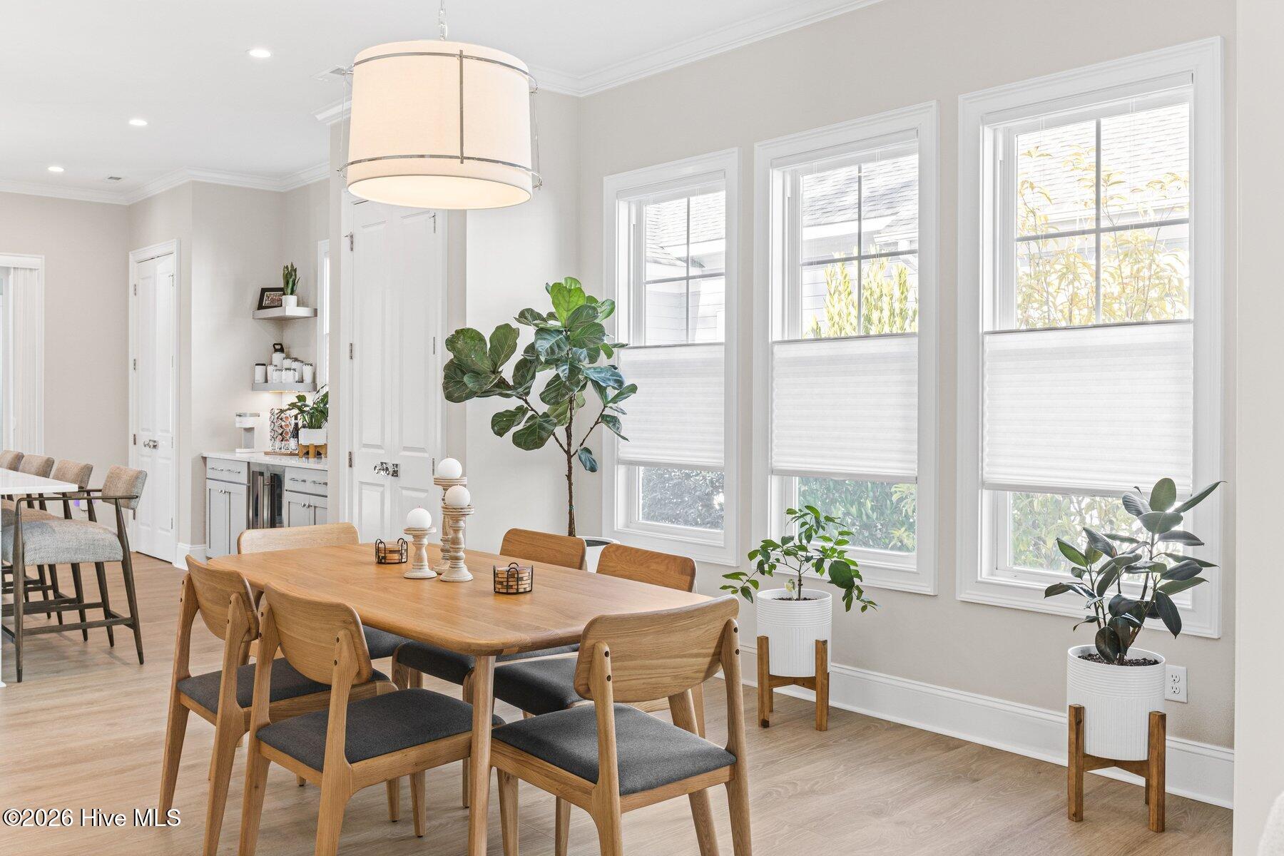 100553656 | Photo 10