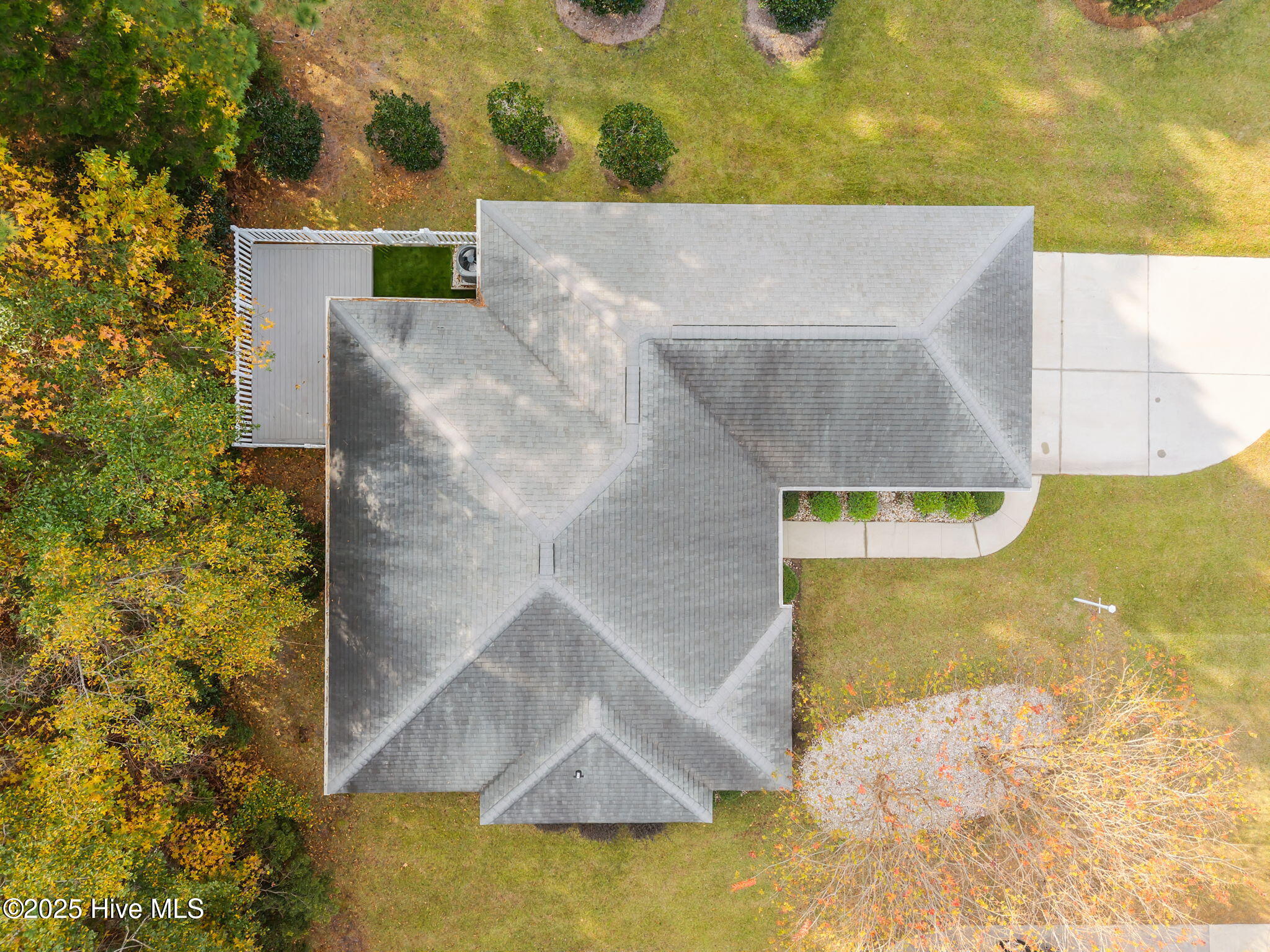 100542918 | Photo 51