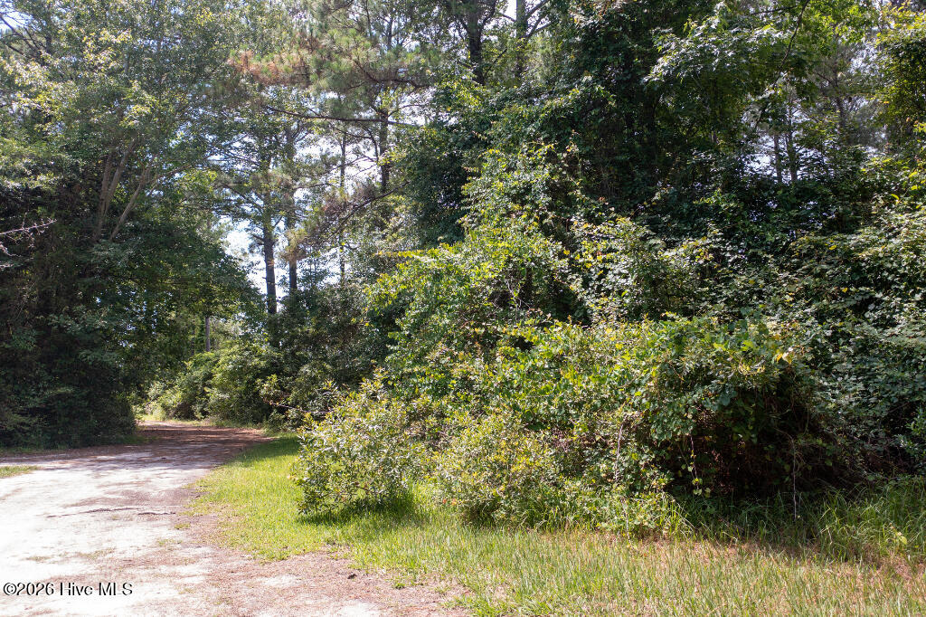 100558327 | Photo 10